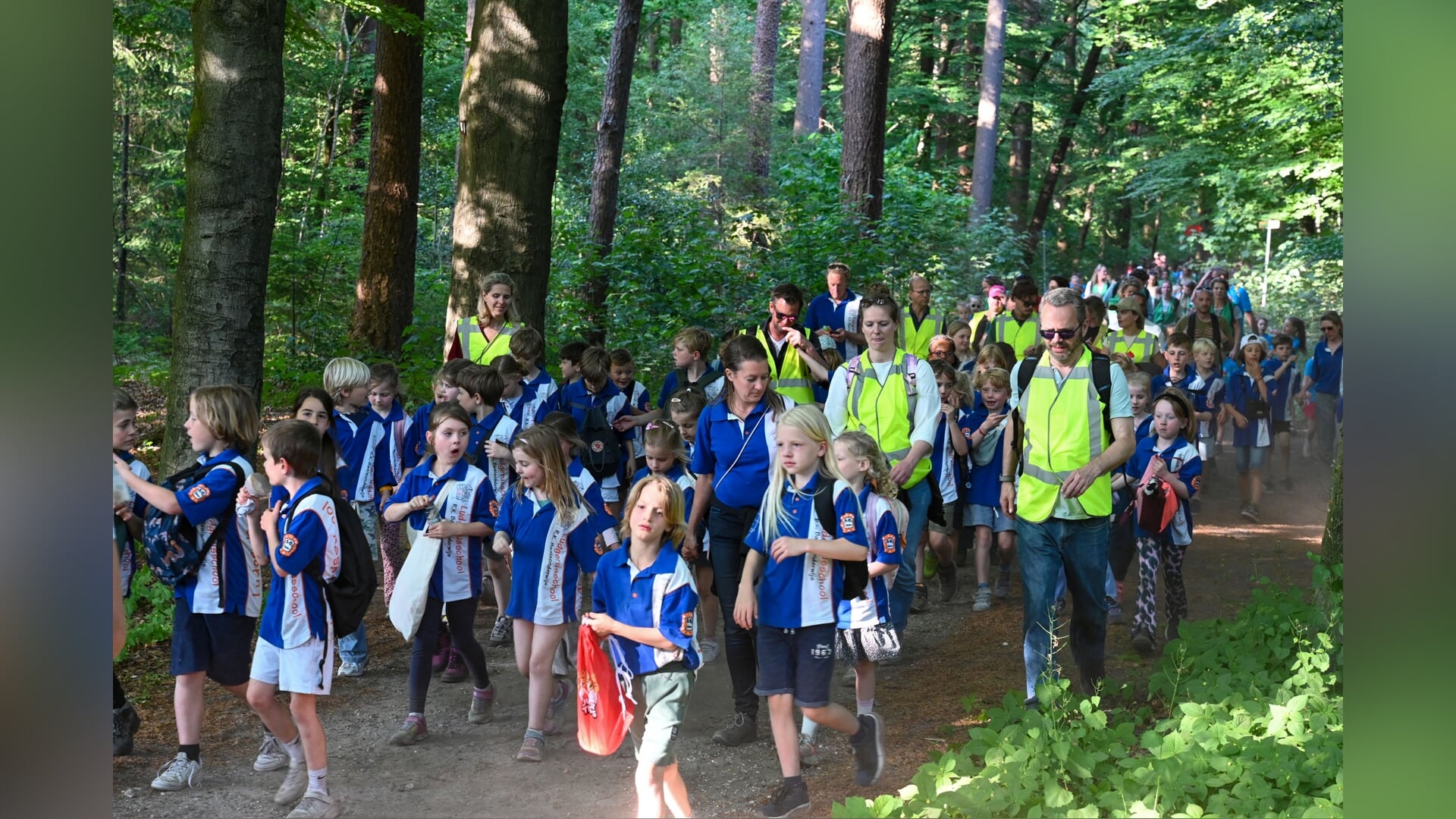 Avondvierdaagse Soest op pad