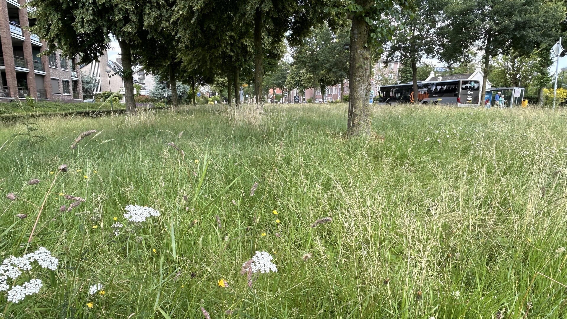 Gemeente Bunnik start weer met maaien en snoeien