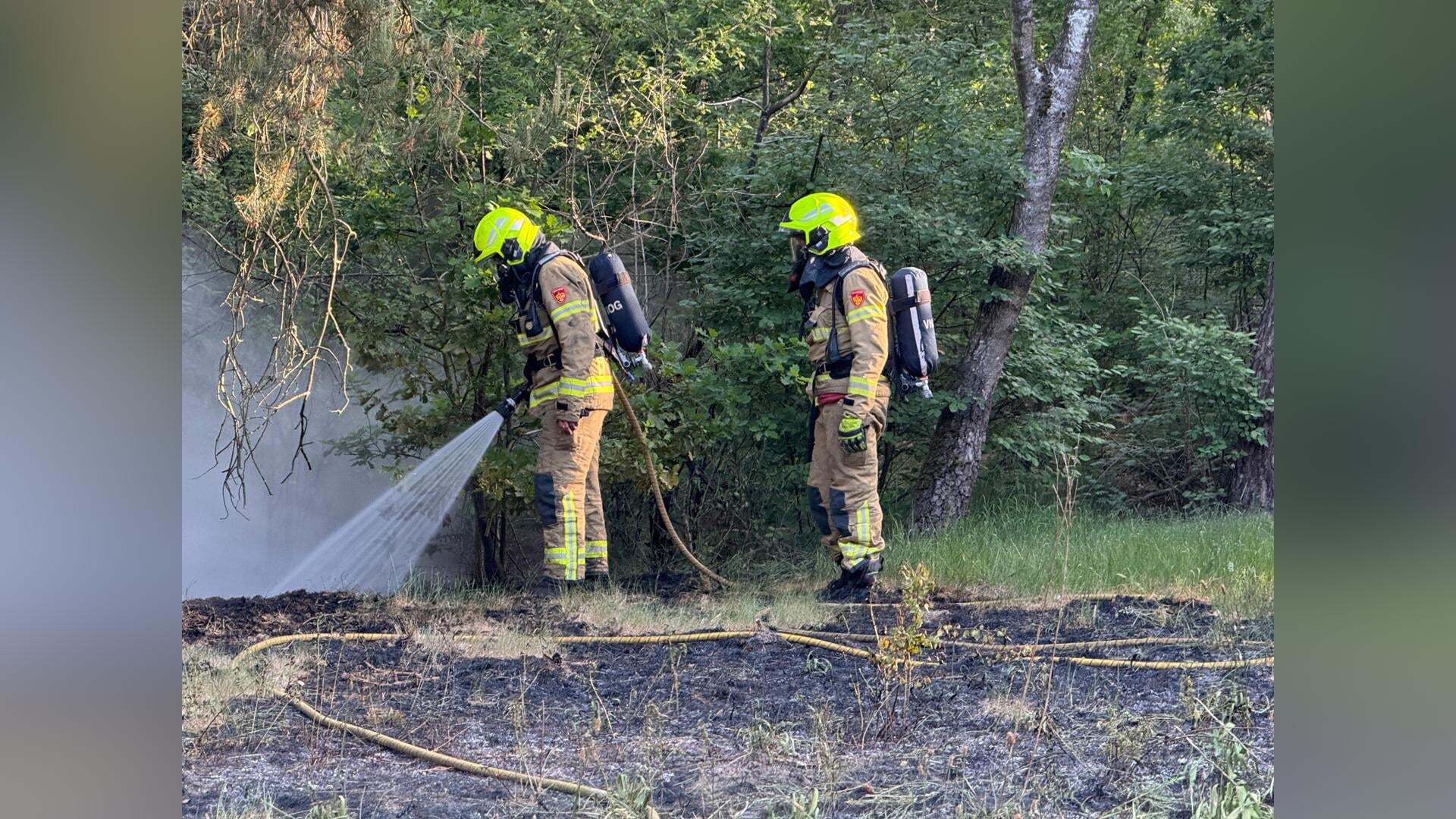 Brandweer rukt uit voor meerdere kleine brandhaarden in bos; vermoeden van brandstichting