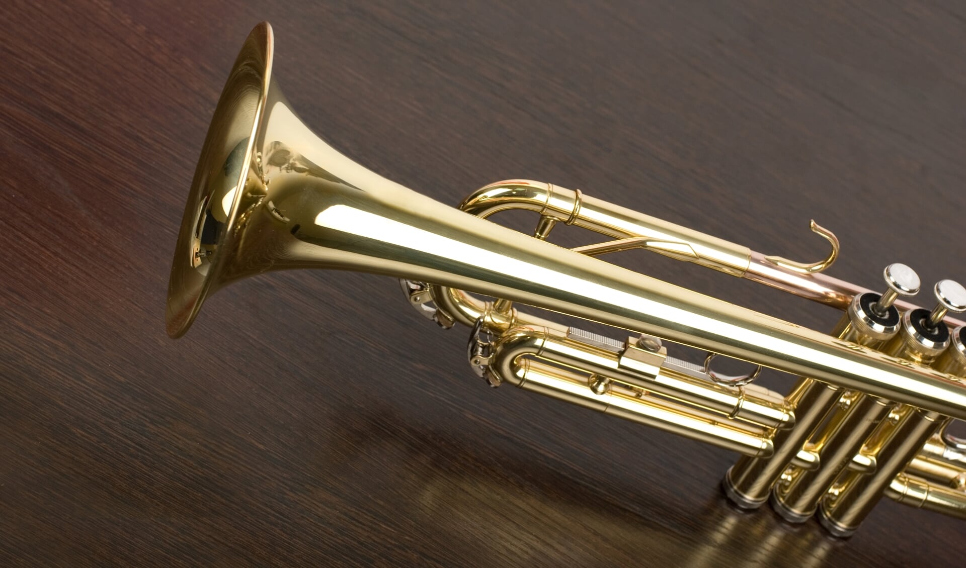 Sanne Kers start met muzikale introductielessen in Hagestein