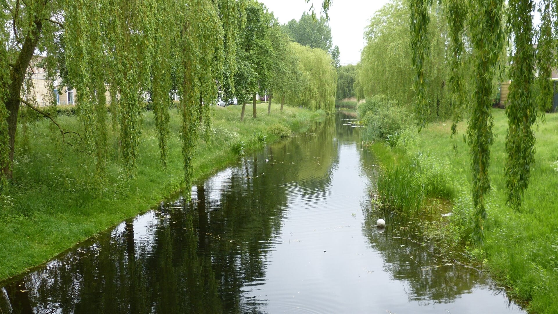 Waterschap noemt regen ‘zeer welkom’, maar er is nog steeds neerslagtekort