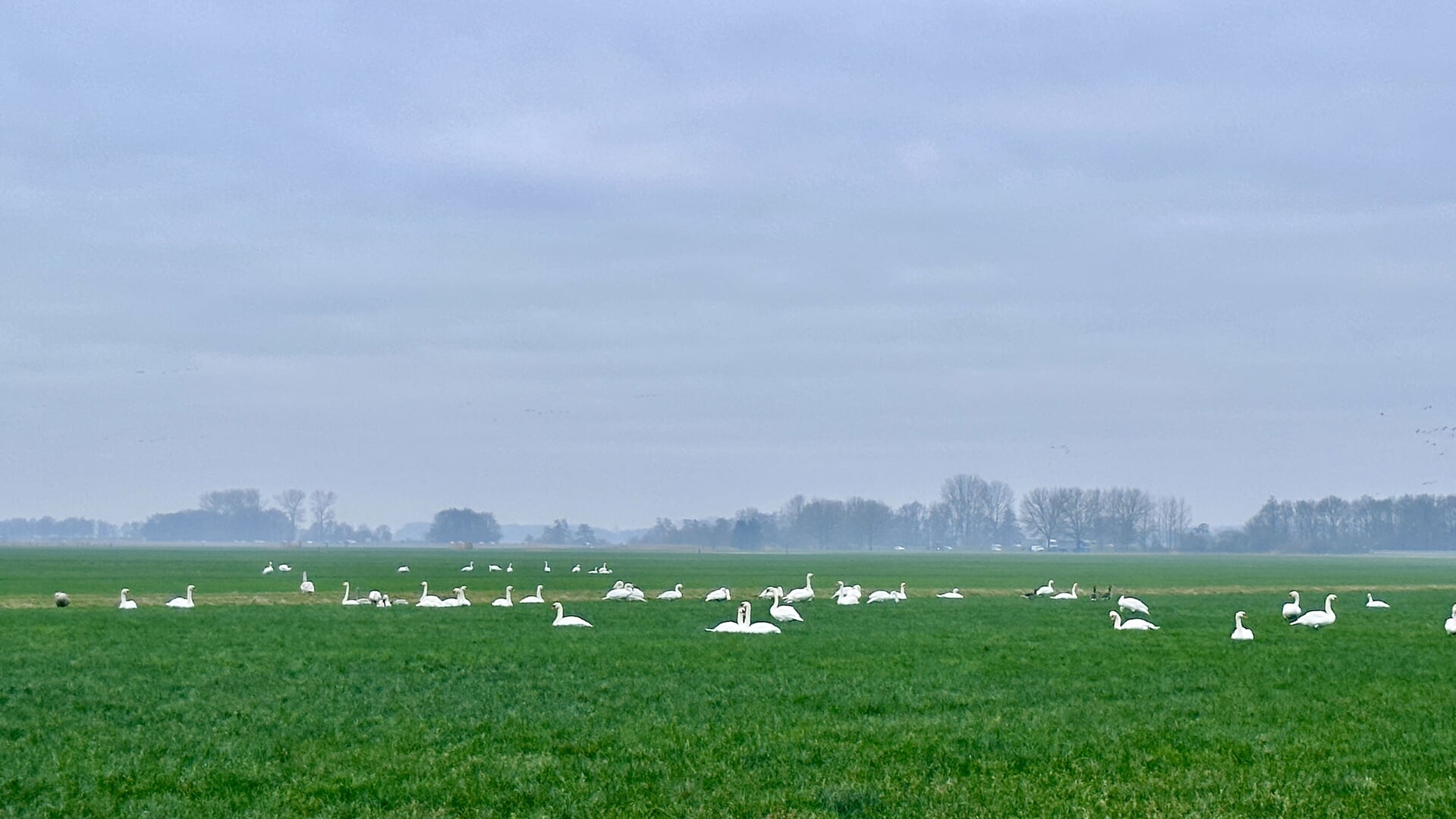 Progressief Ermelo stelt vragen over oppervlak mogelijk bedrijventerrein