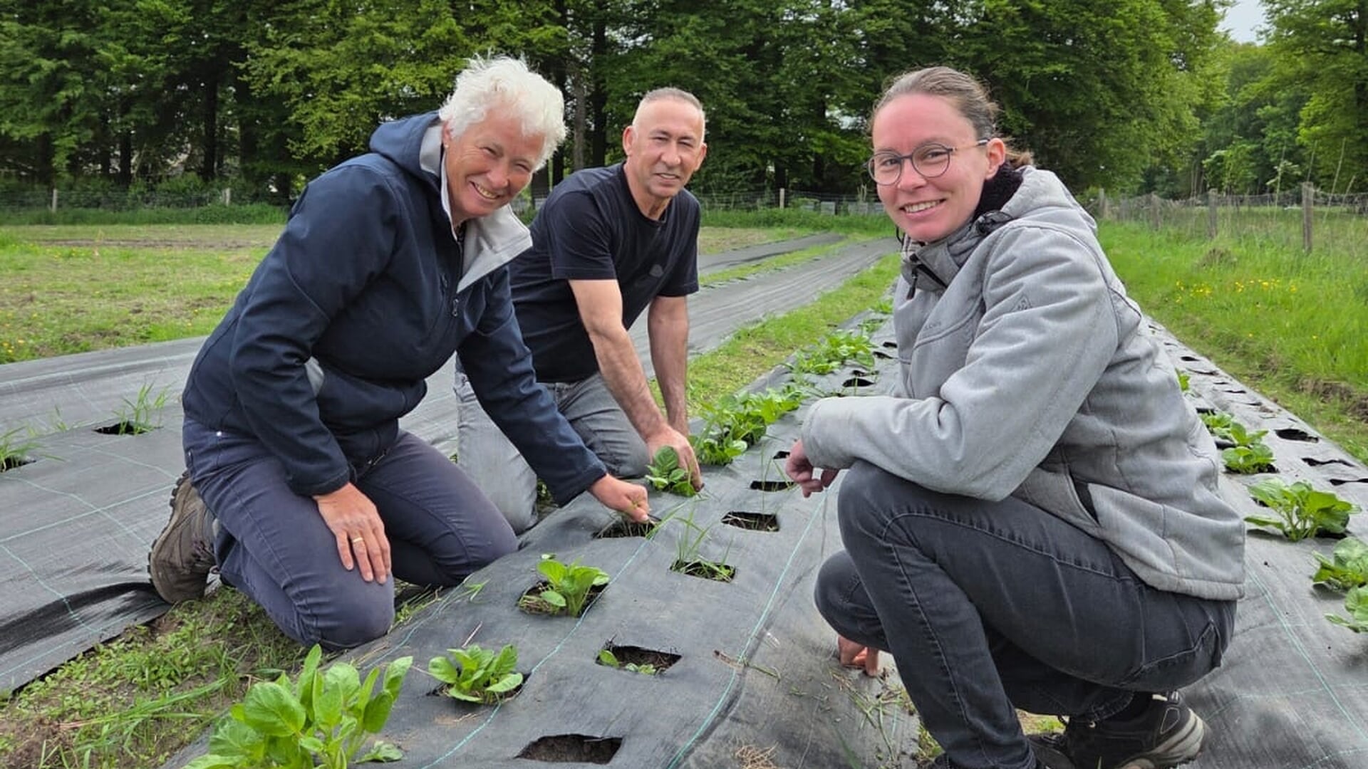 Nieuwe sociale voedseltuin in Barneveld: verse producten voor mensen met kleine portemonnee