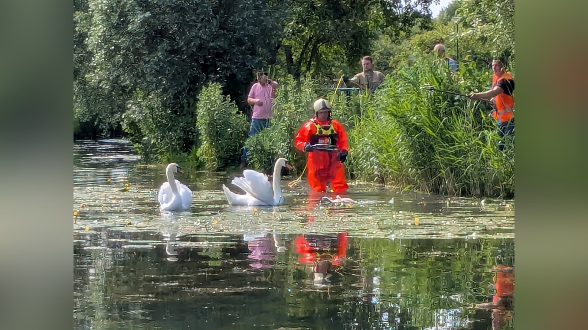 Reddingsactie in het stadspark