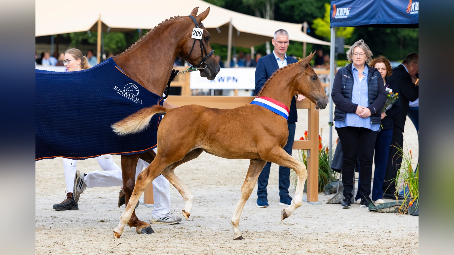 Jan Vonk nieuw lid hengstenkeuringscommissie Gelders paard