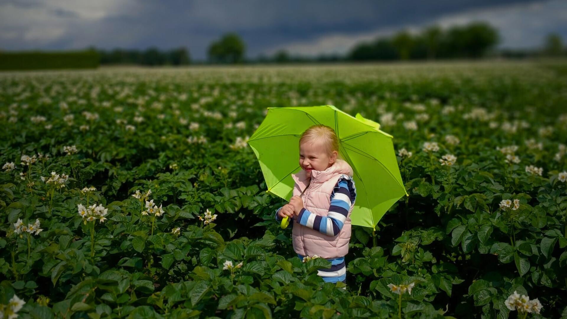 Jacoline (3) is fotomodel in Lunters aardappelveld