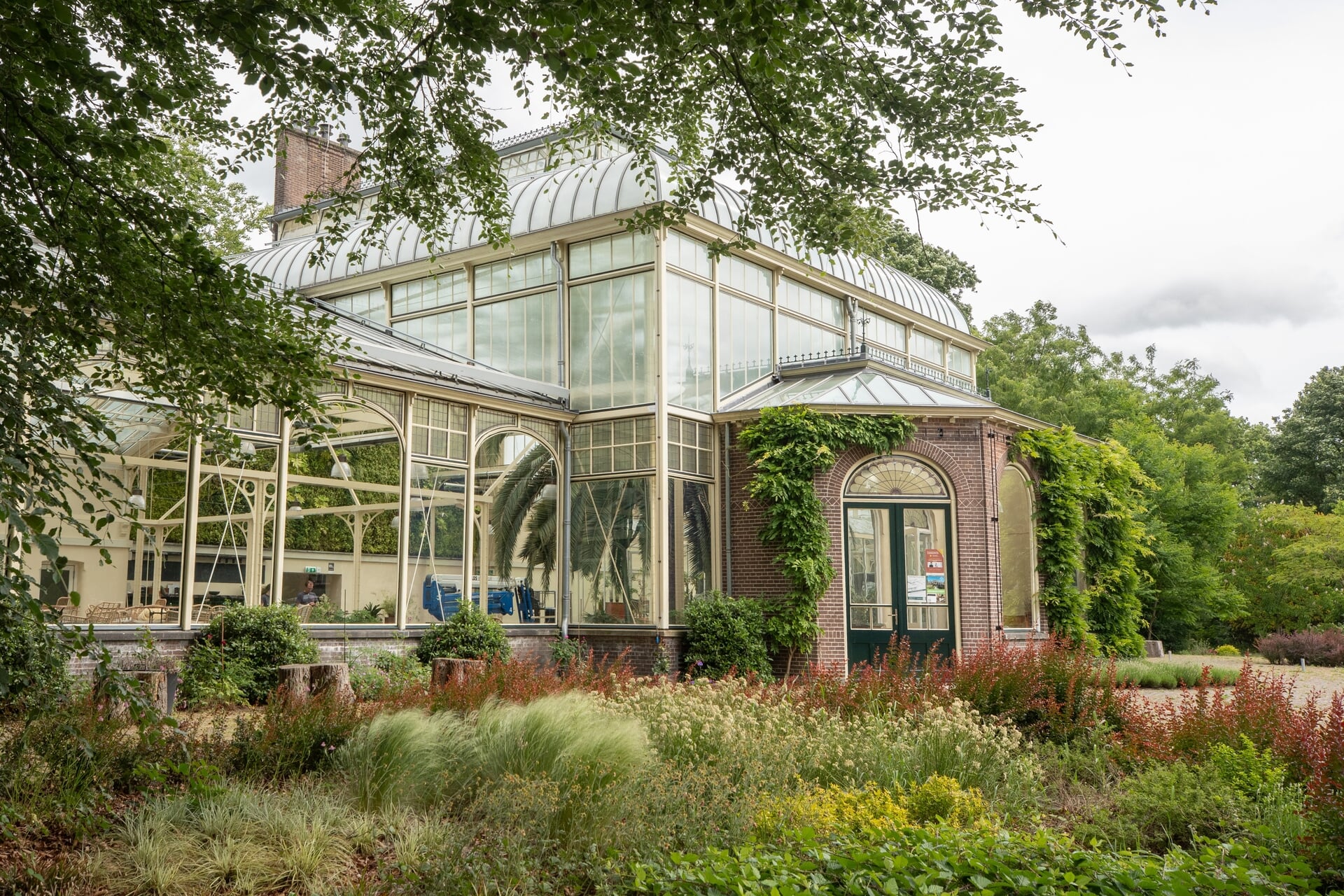 Blokzijl blijft geïnteresseerd in Wintertuin: ‘De kas wordt geen openbare instelling’