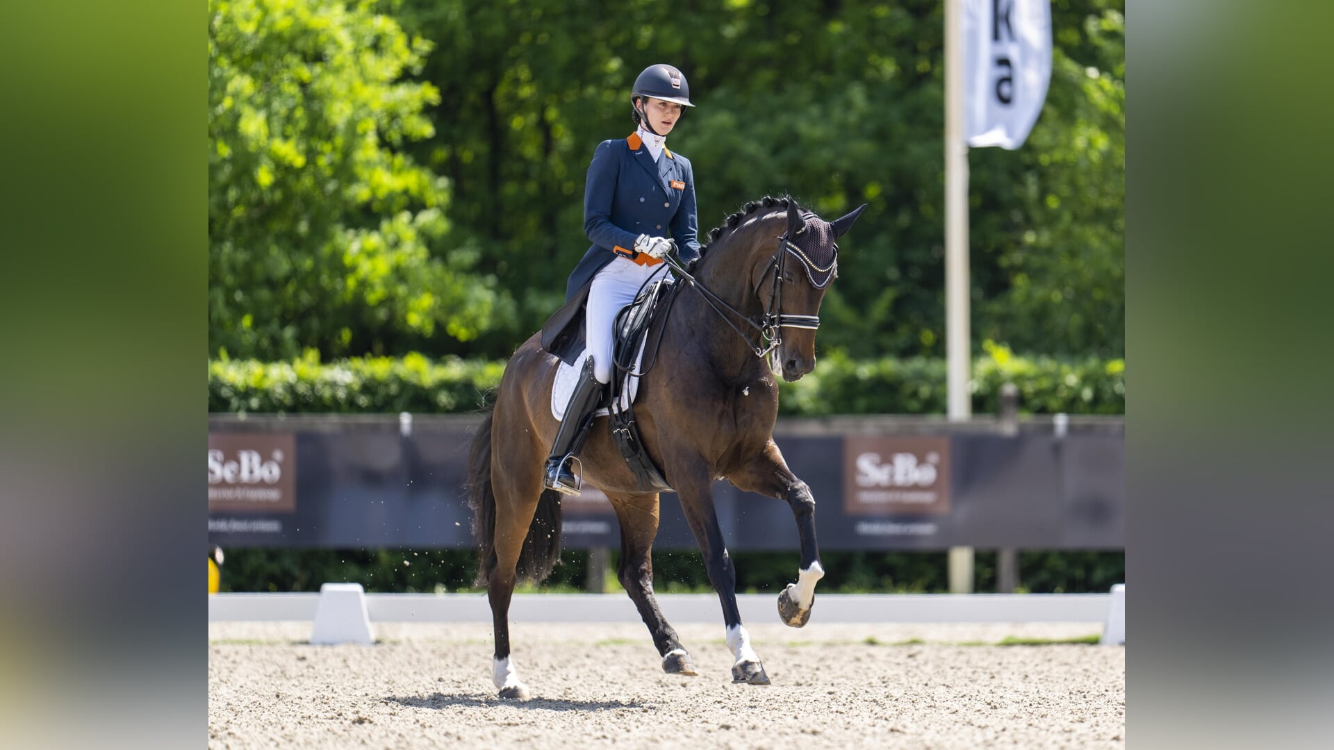 Grand Prix-merrie Gerda Nova de la Fazenda van Thalia Rockx verkocht ...