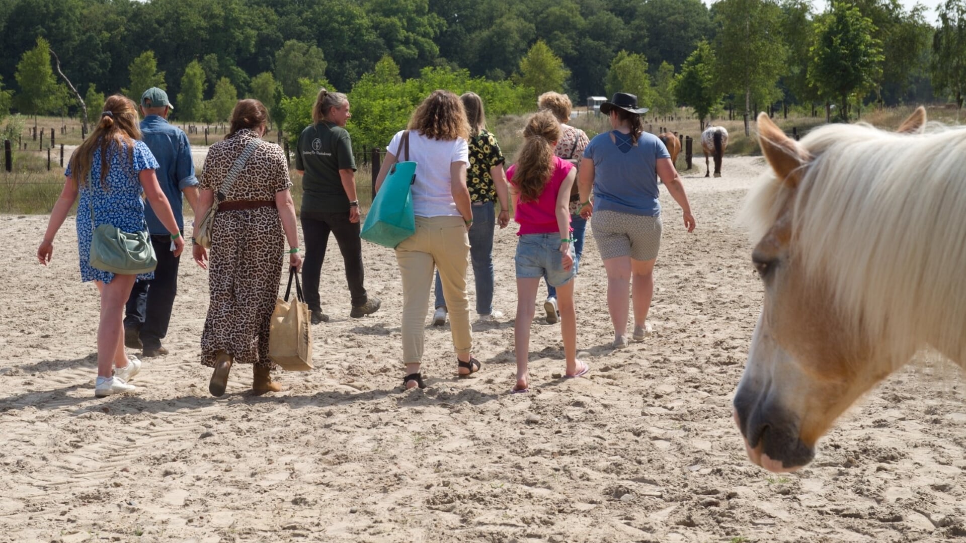 Uit-agenda Soest en Soesterberg: 20, 21 en 22 juni