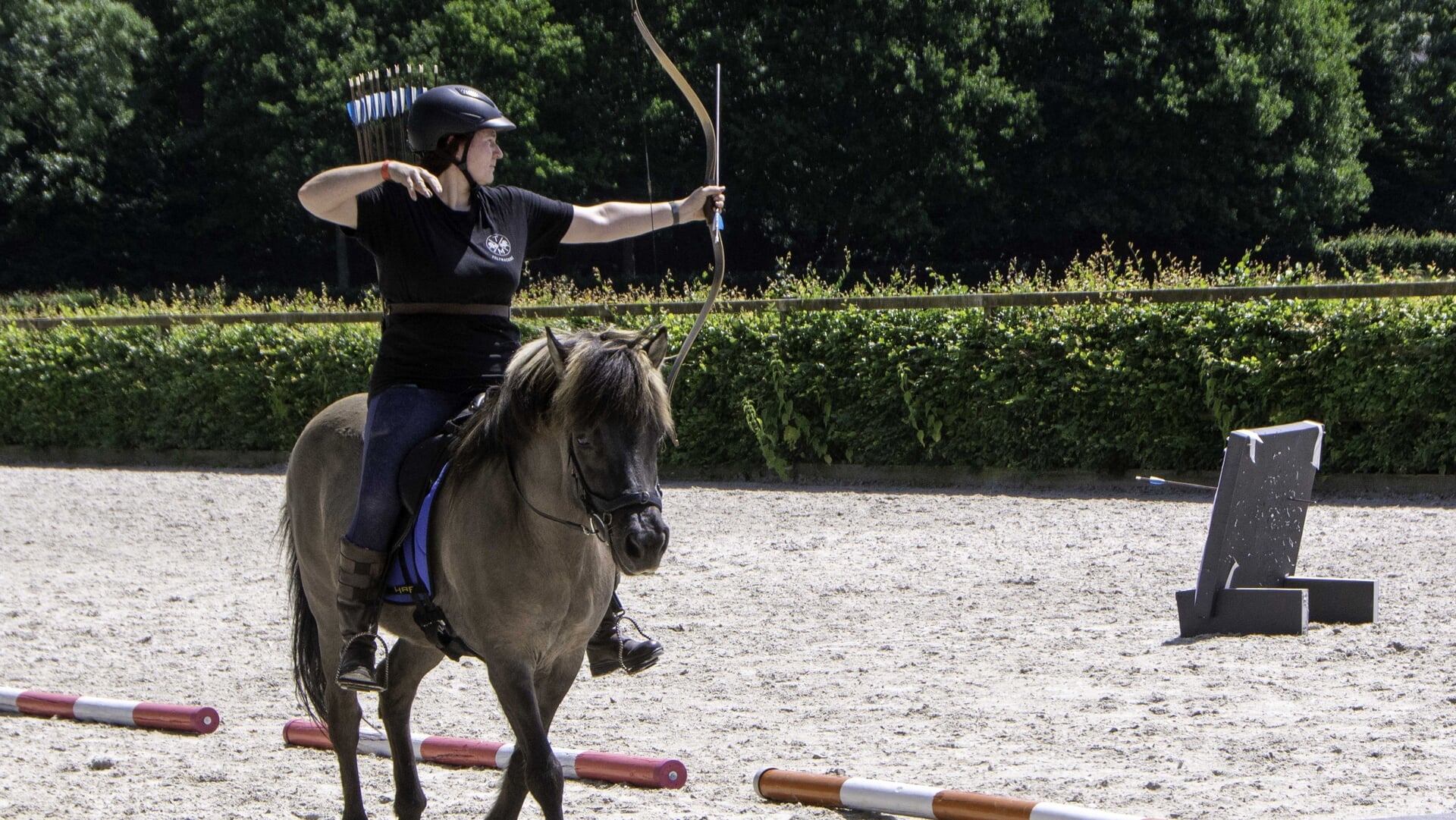 Lustrum rijvereniging Midgard gevierd in Hippisch Centrum Ermelo