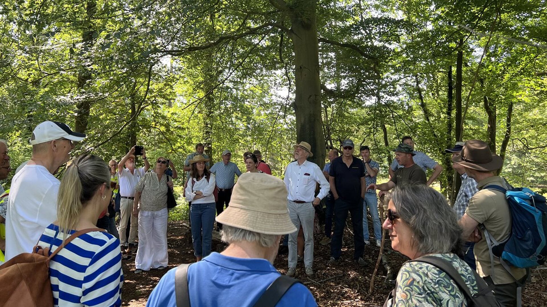 Waterschap op bezoek in Utrechtse Heuvelrug: ‘Weersextremen leiden tot uitdagingen in waterbeheer’