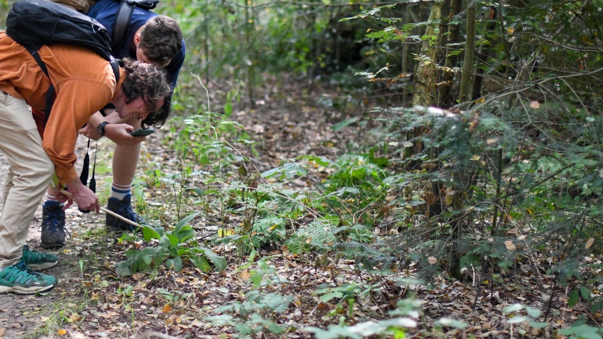 Utrechtse Heuvelrug wint Soorten Challenge en is meest biodiverse gemeente