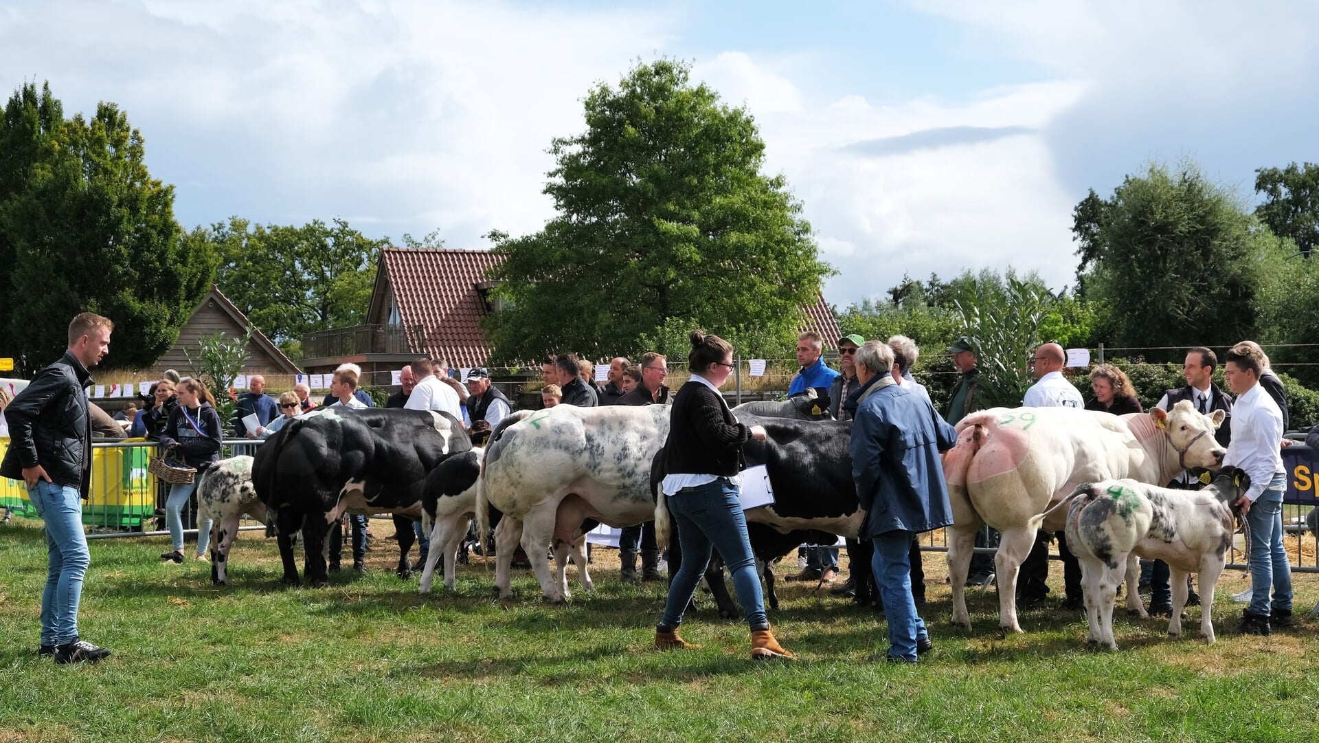 Open koe- en rundvleeskeuring met kleedjesmarkt in Achterberg