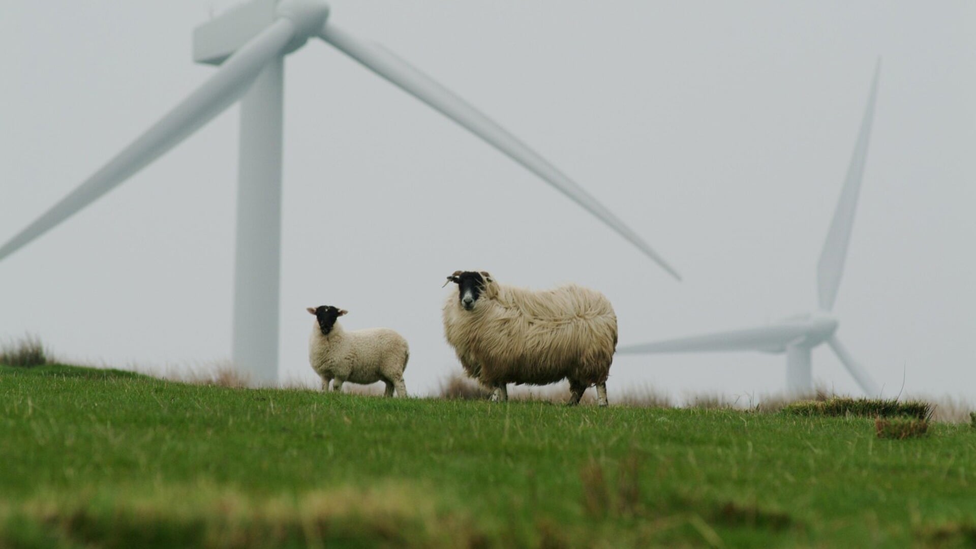 Provincie Utrecht bungelt onderaan de lijst met windmolens