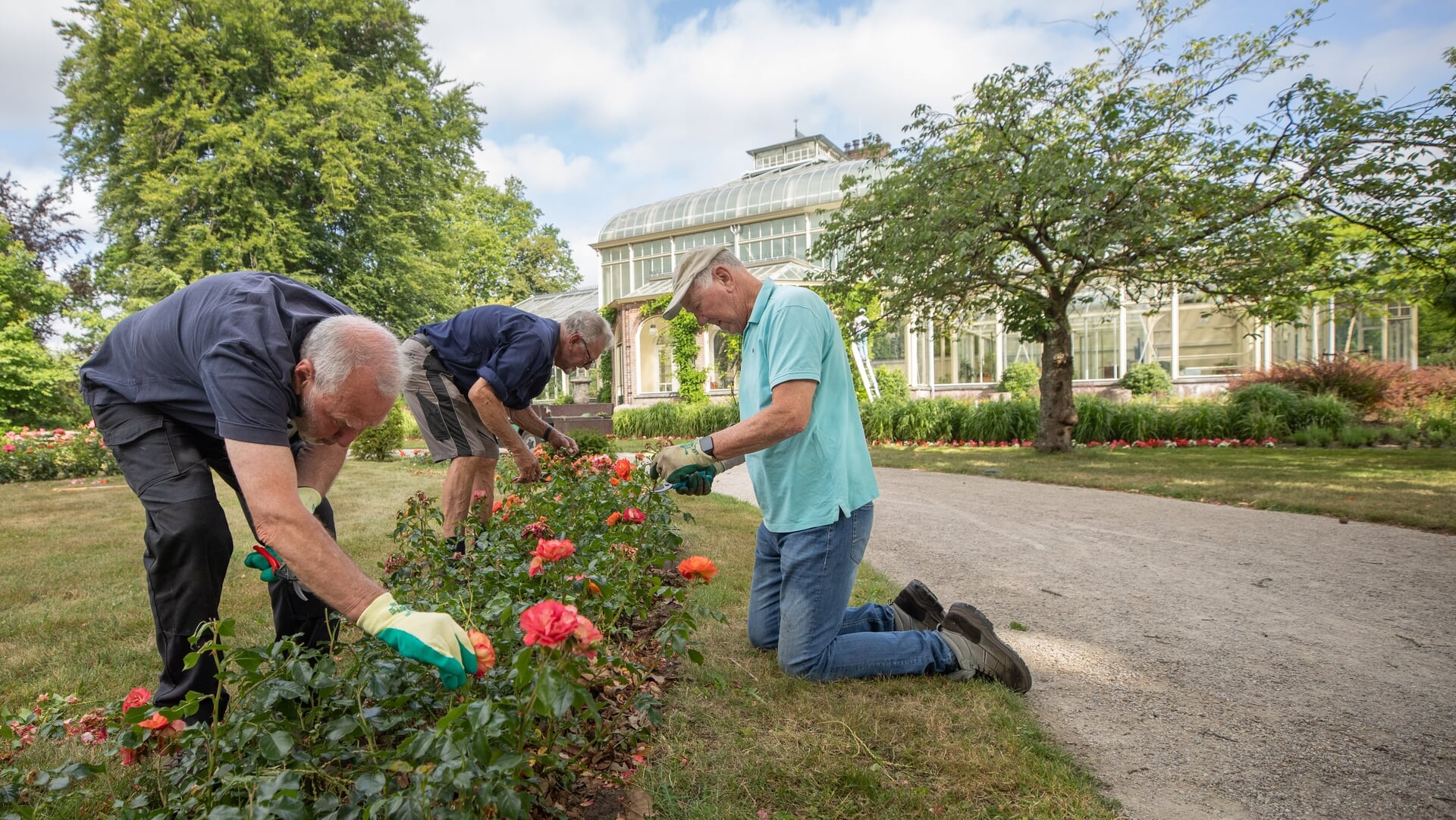 Wie de Wintertuin wil huren, moet zijn plan vandaag indienen