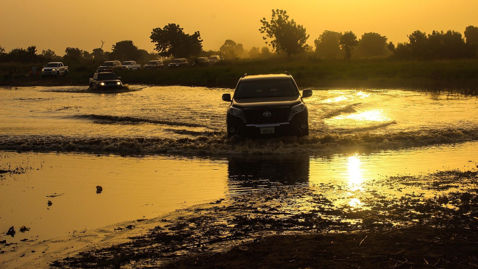 ANWB-campagne gelanceerd voor bewustwording bij auto te water: gordels ...