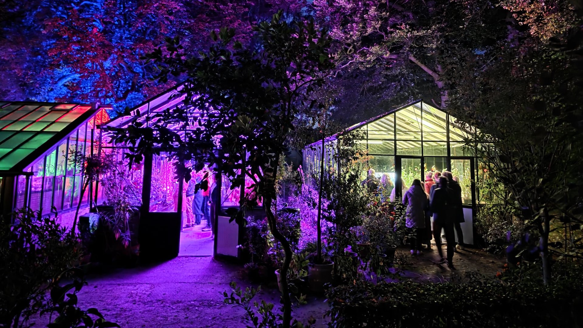Museumnacht in Tropische Kas Beetsterzwaag