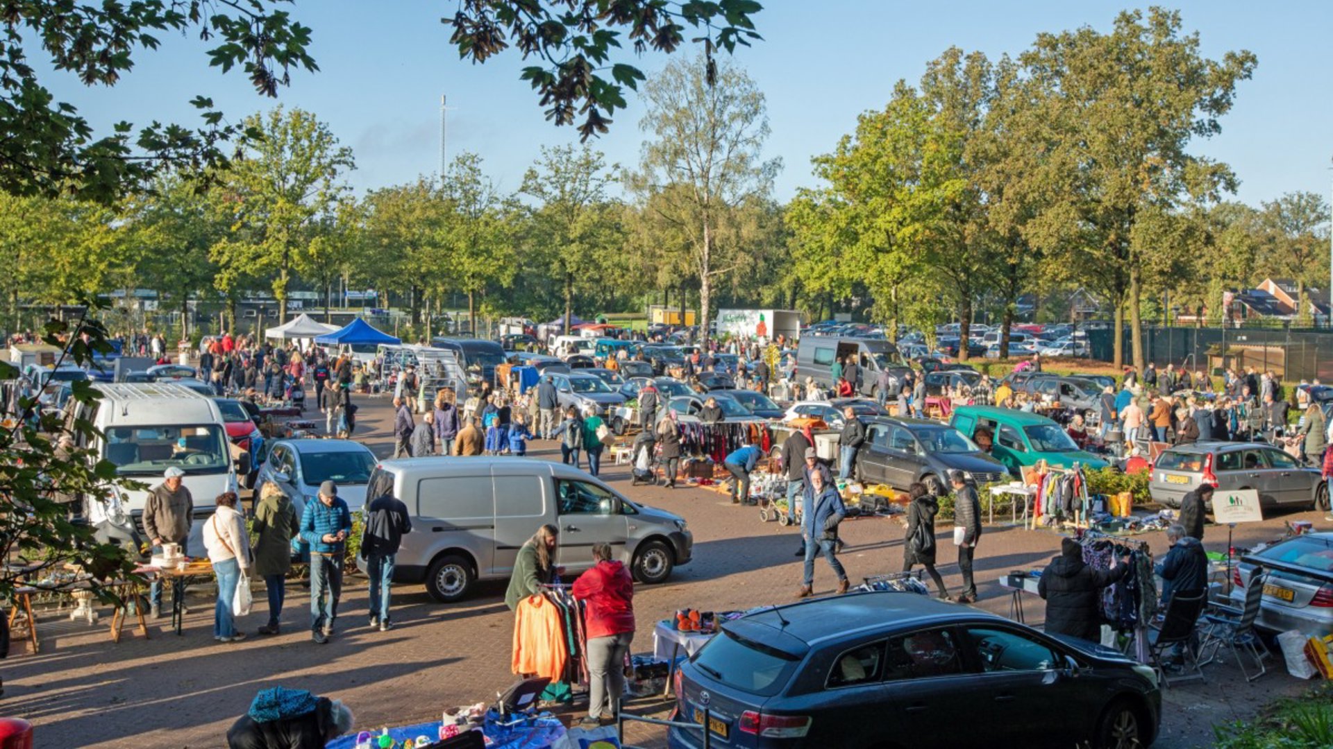 Wat te doen in het weekend van week 40 in Opsterland? 5 tips om eropuit te gaan