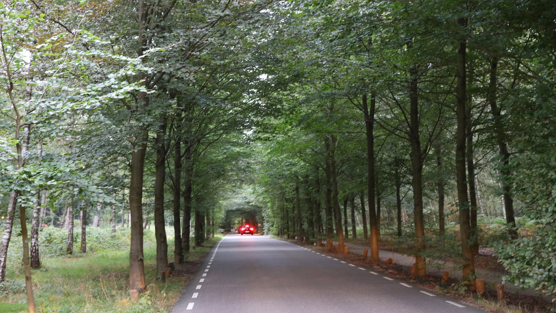 Maximum snelheid Hoge Vuurseweg aangepast
