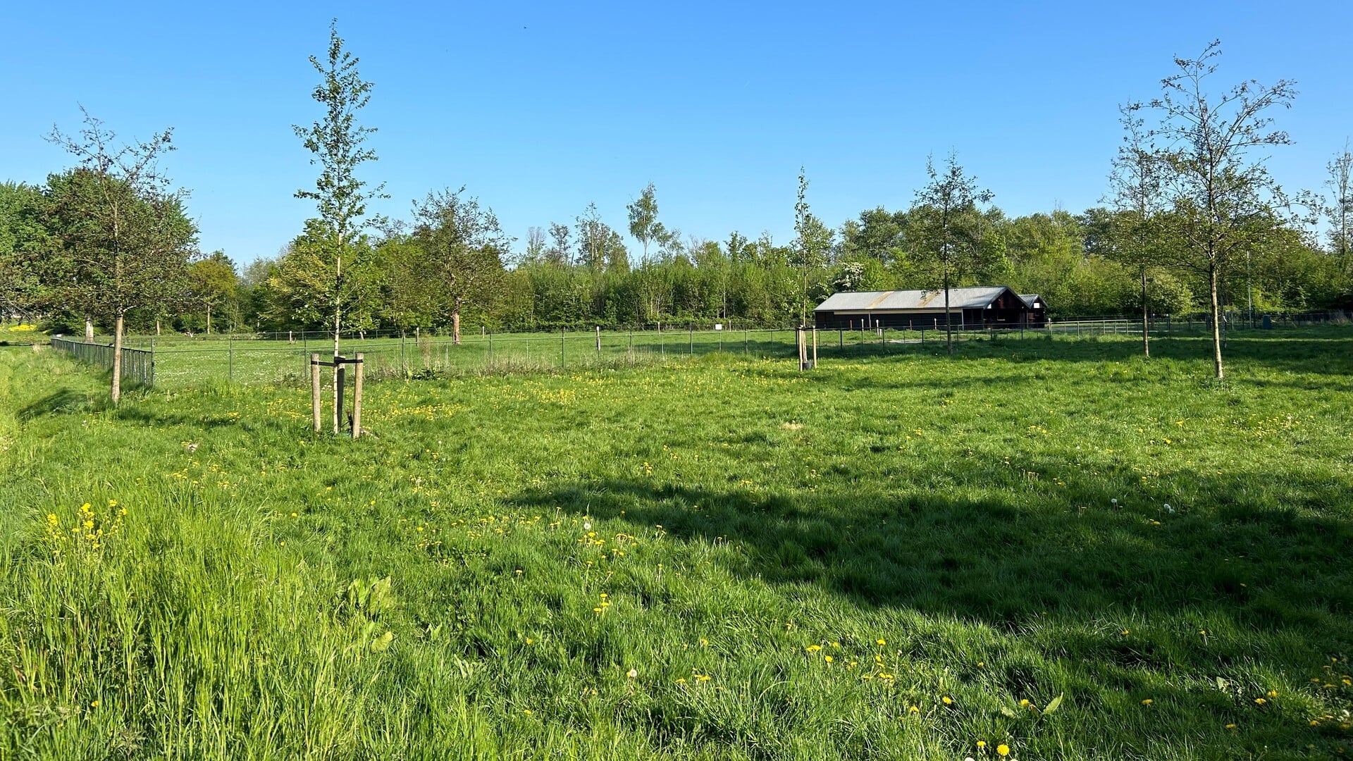 Spelen met dieren en oog voor groen op plek ‘t Ezelsbruggetje