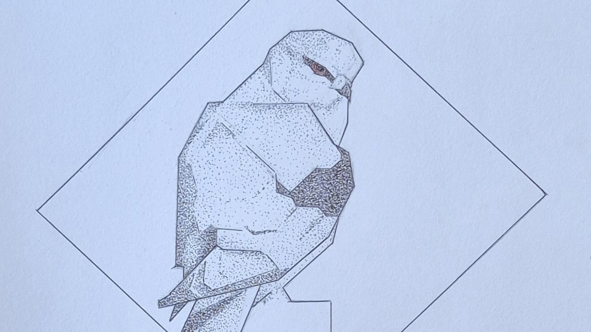 Vogels in Houten - Grijze wouw