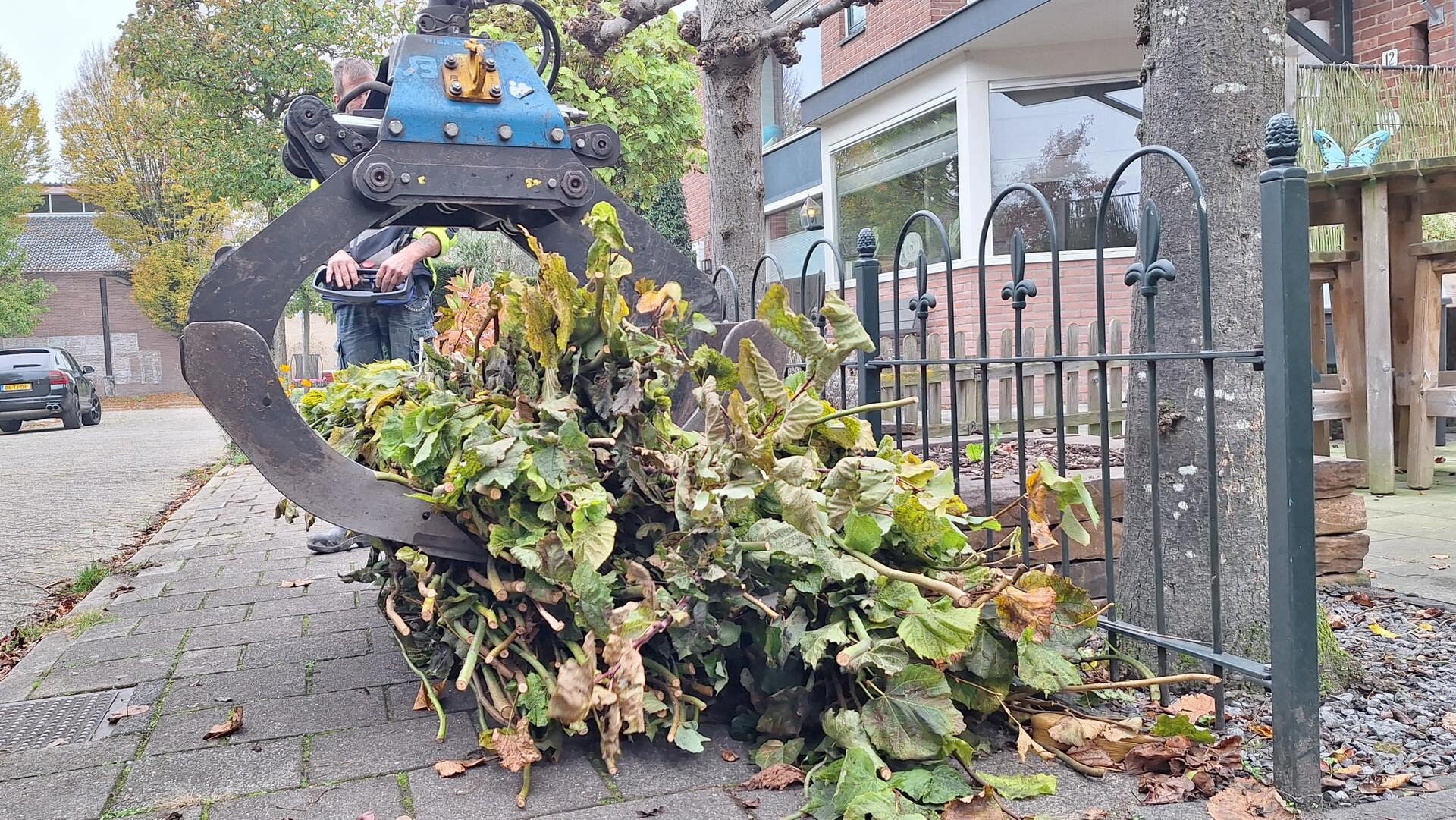 Gratis ophalen van snoeihout in Zeist