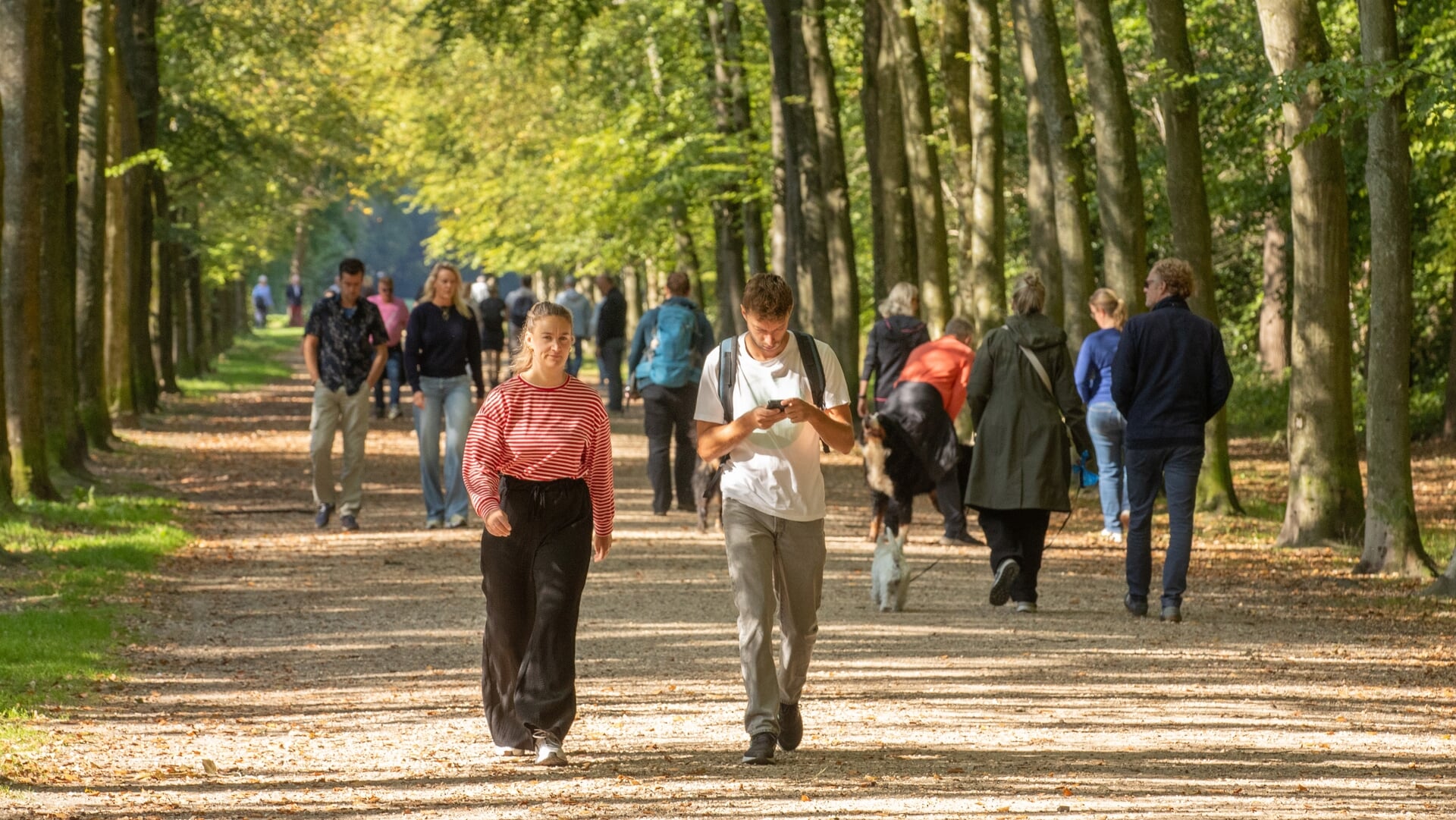De Baarnse natuur in op zonovergoten eerste herfstdagen