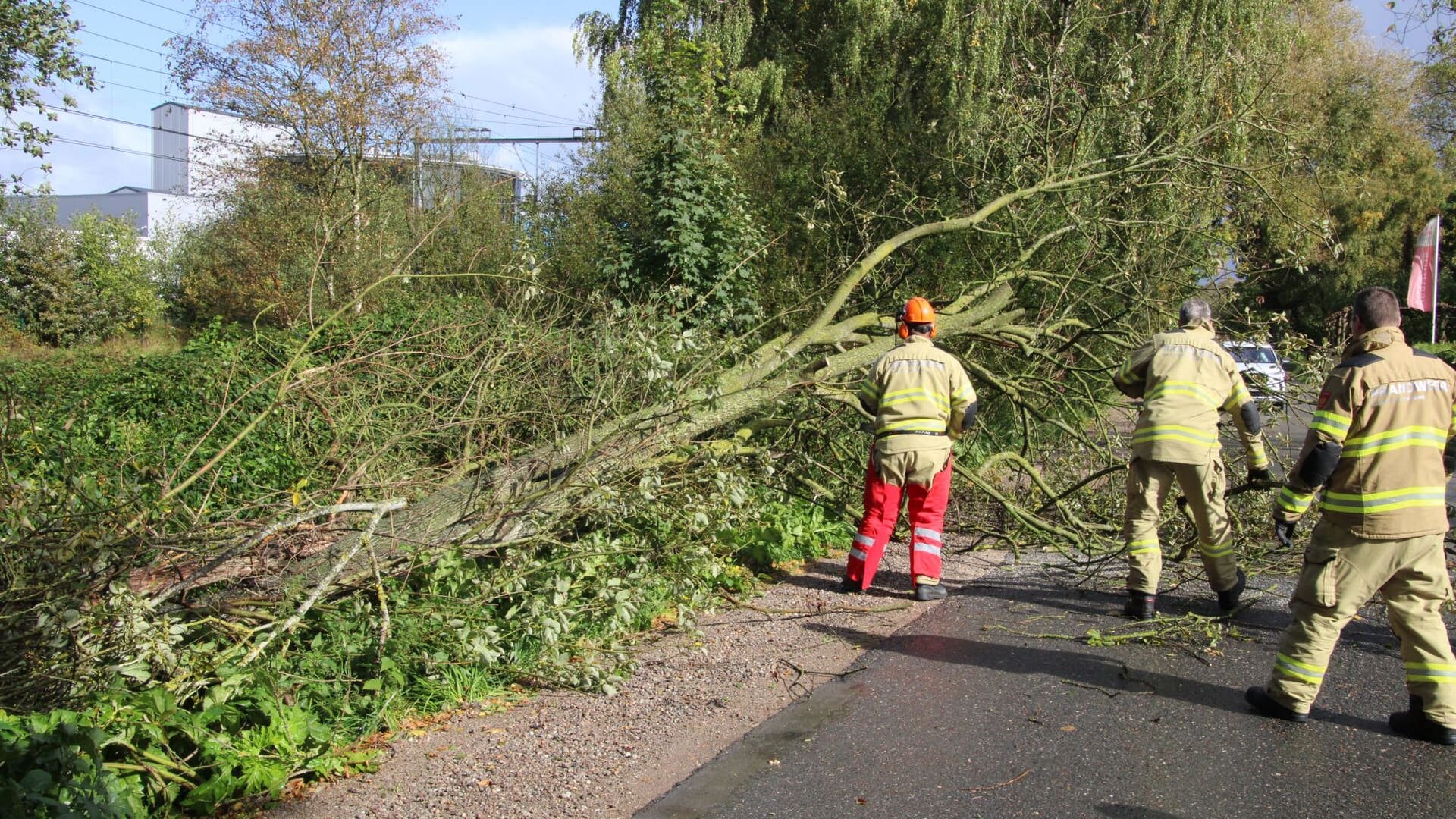 Brandweer Voorthuizen verwijdert omgewaaide boom van de Wencopperweg in Barneveld