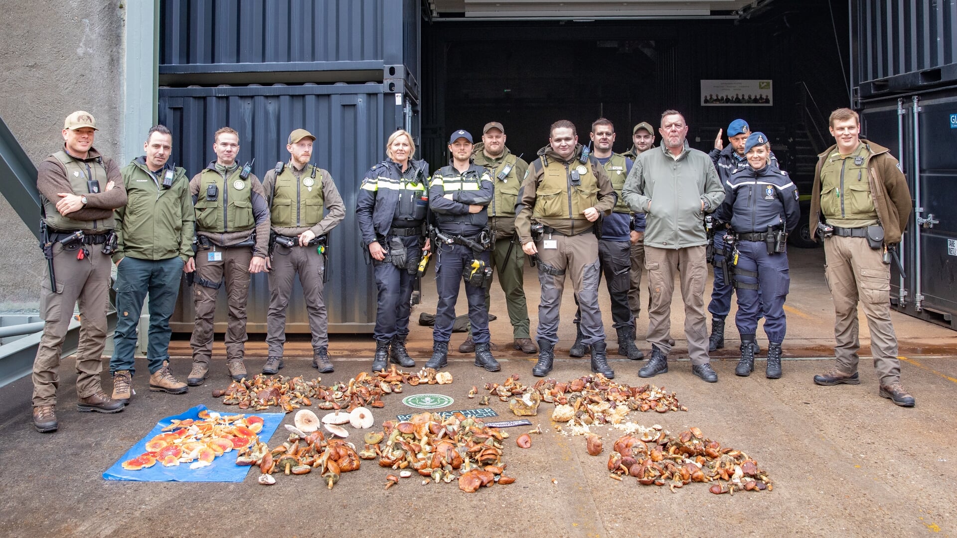 Grootschalige handhaving: ruim 36 kg paddenstoelen in beslag genomen