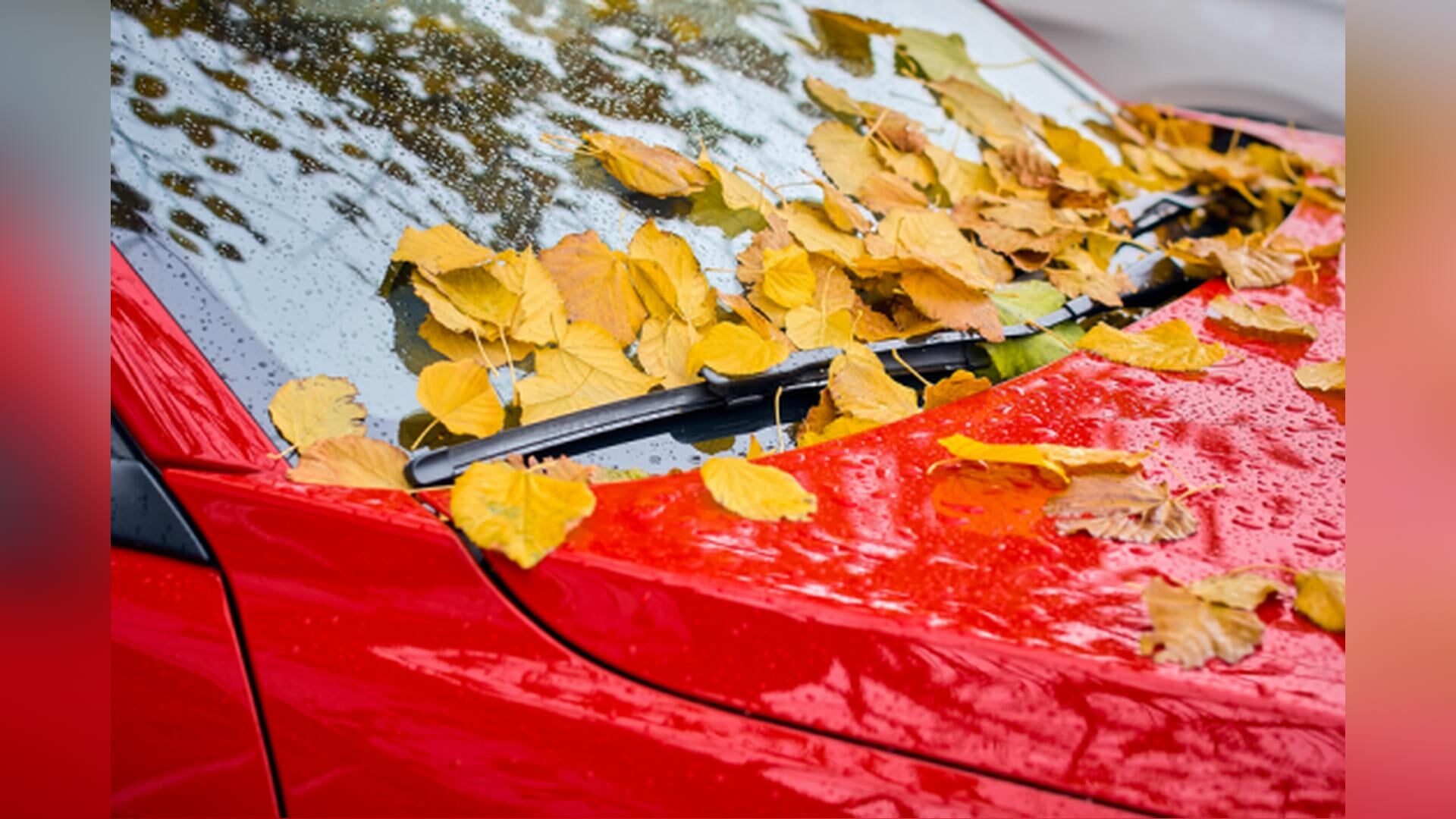 Verkeersdrukte door start herfstvakantie regio Zuid