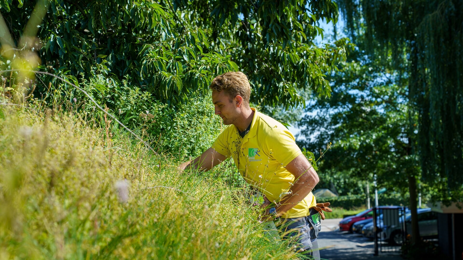 Van Rosmalen zorgt voor mooie én duurzame tuinen