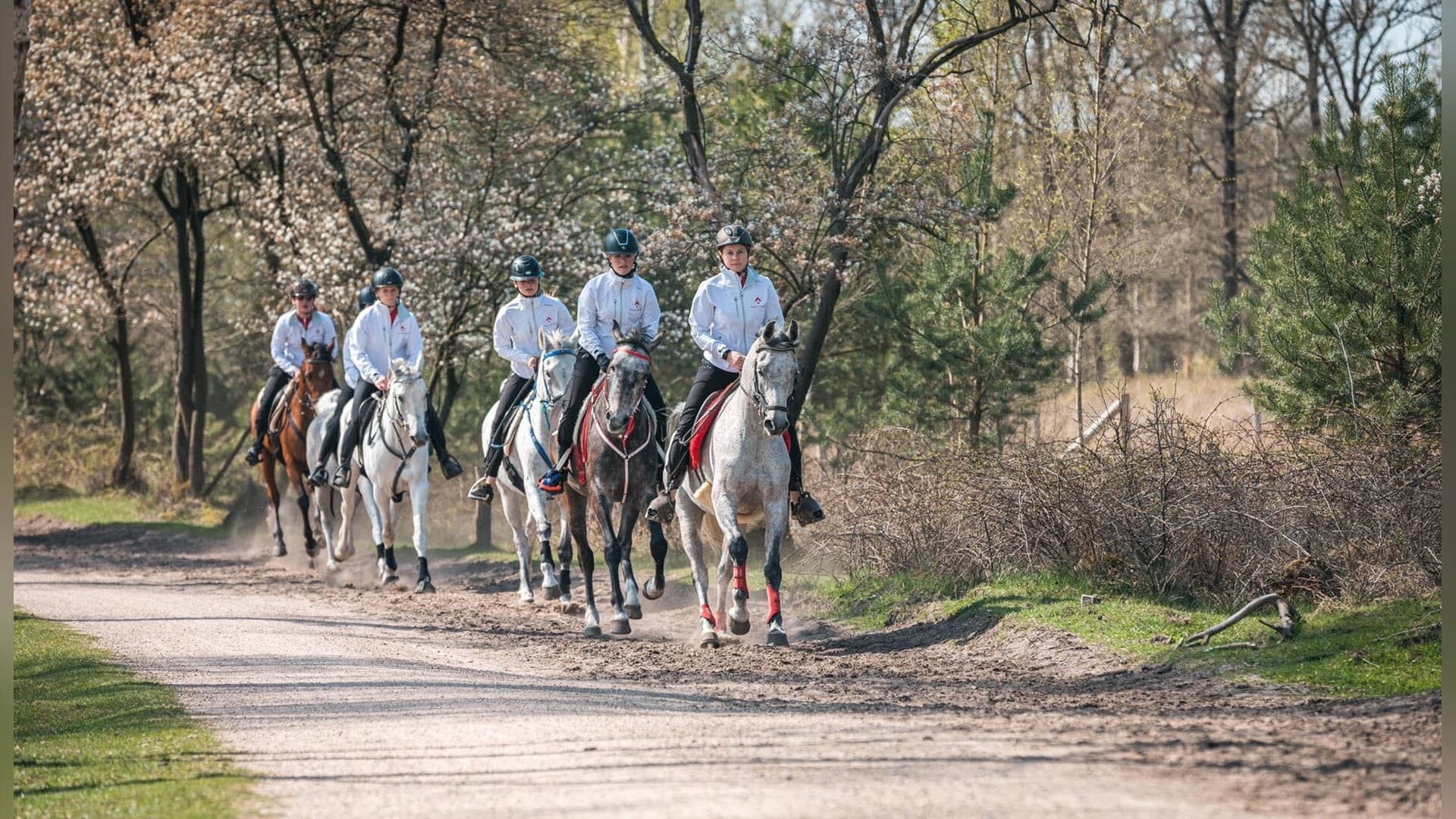 Het Kolpa Endurance Festival- “een evenement voor iedere ruiter!”
