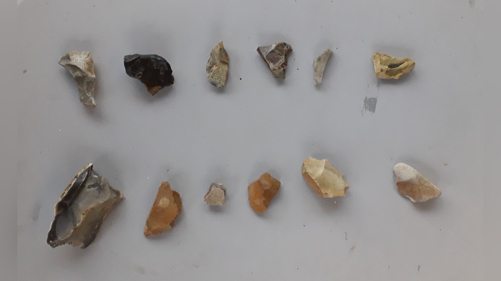 speciaal archeologisch spreekuur met vuursteendeskundige