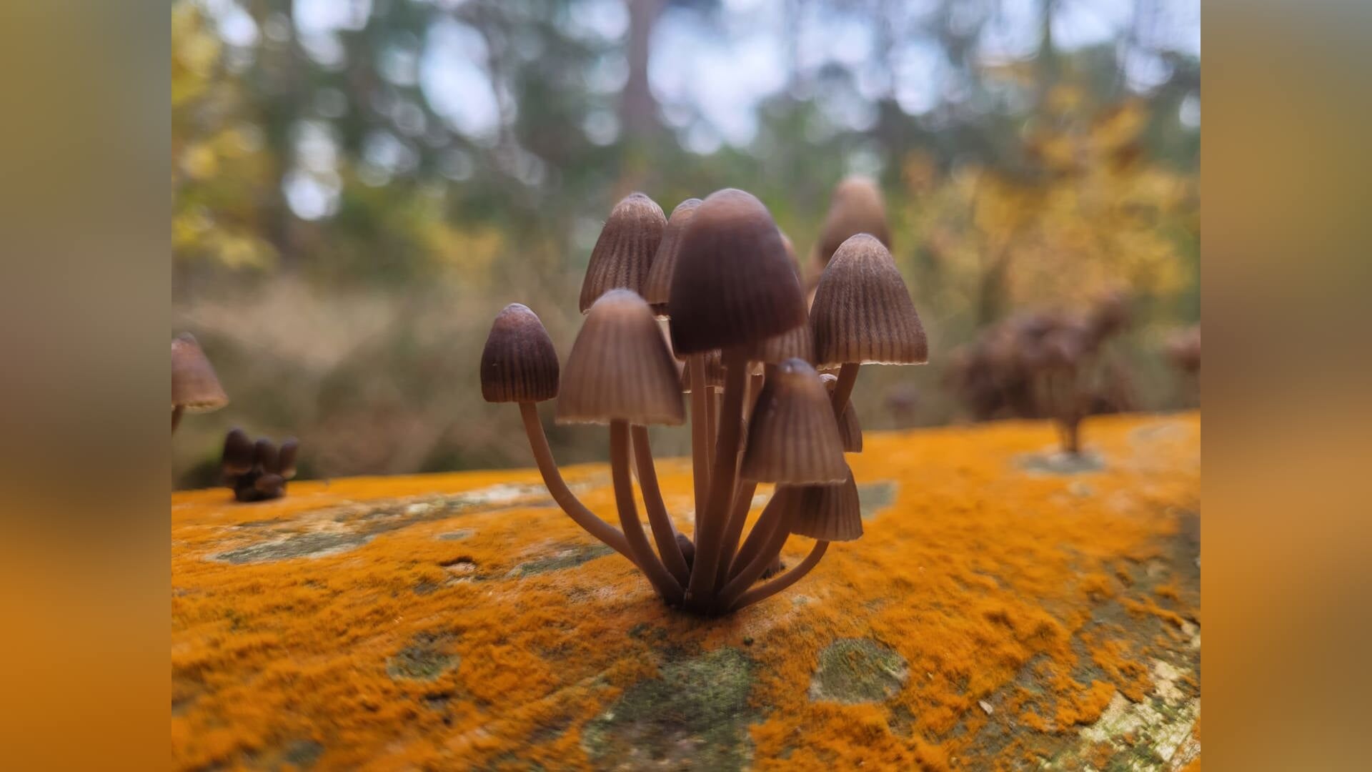 Herfst!!