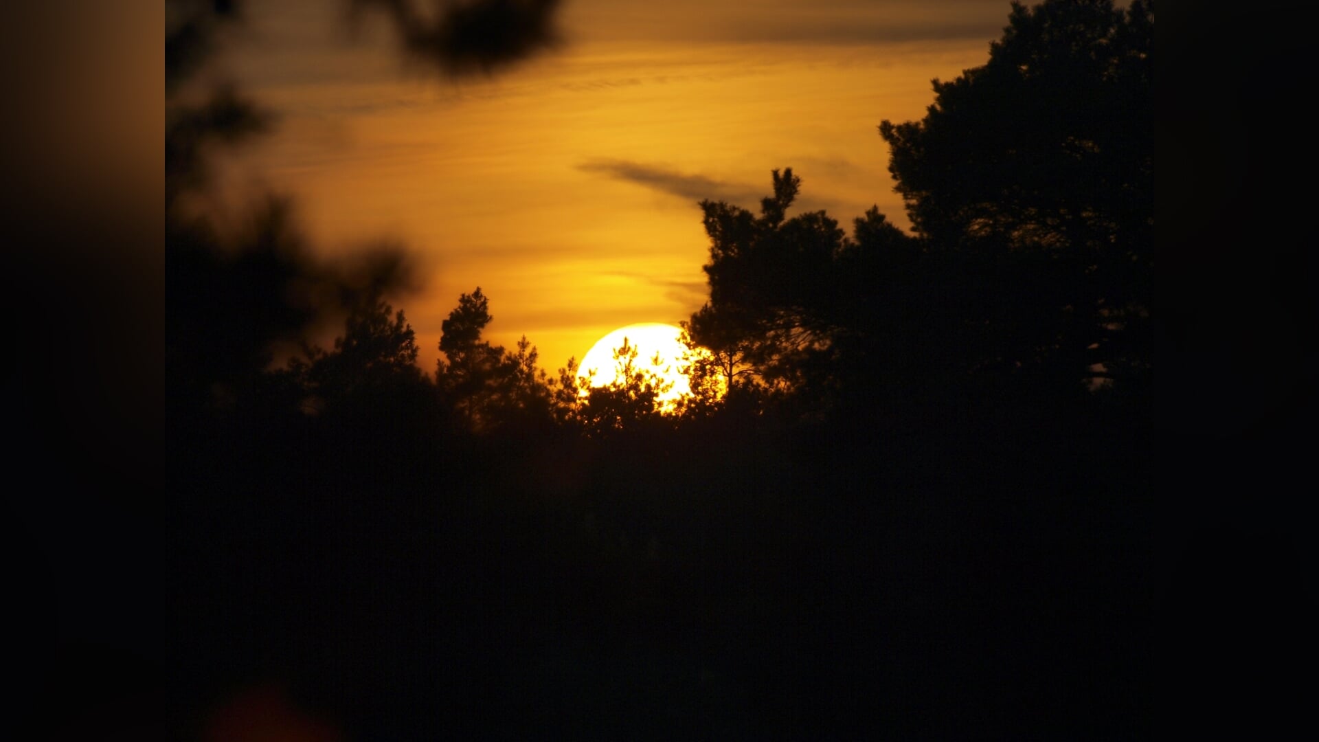Nacht van de Nacht, Tongerense Heide
