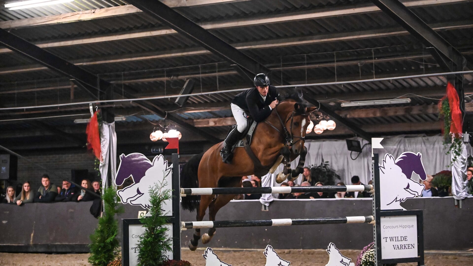 Stroese springruiter Van Maanen wint ‘Wild Varken’