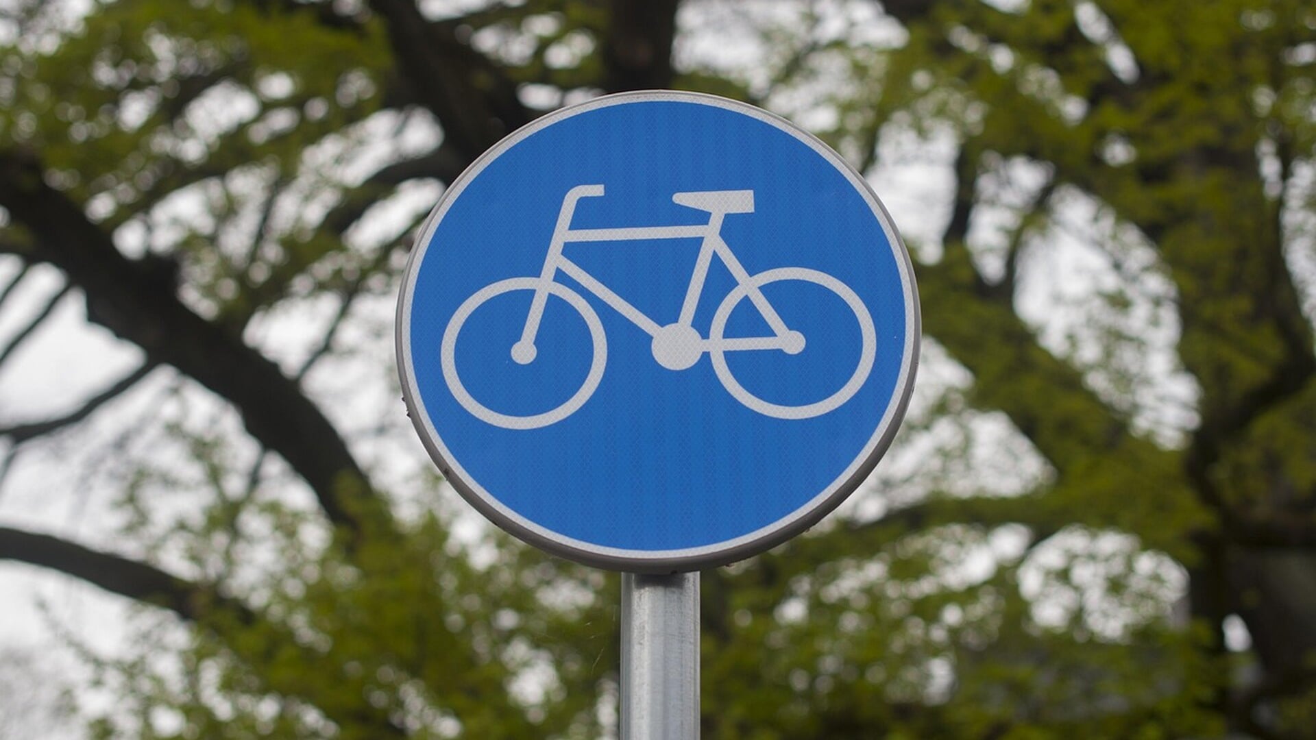 Regionaal fietsnetwerk in de provincie Utrecht komende jaren flink verbeterd