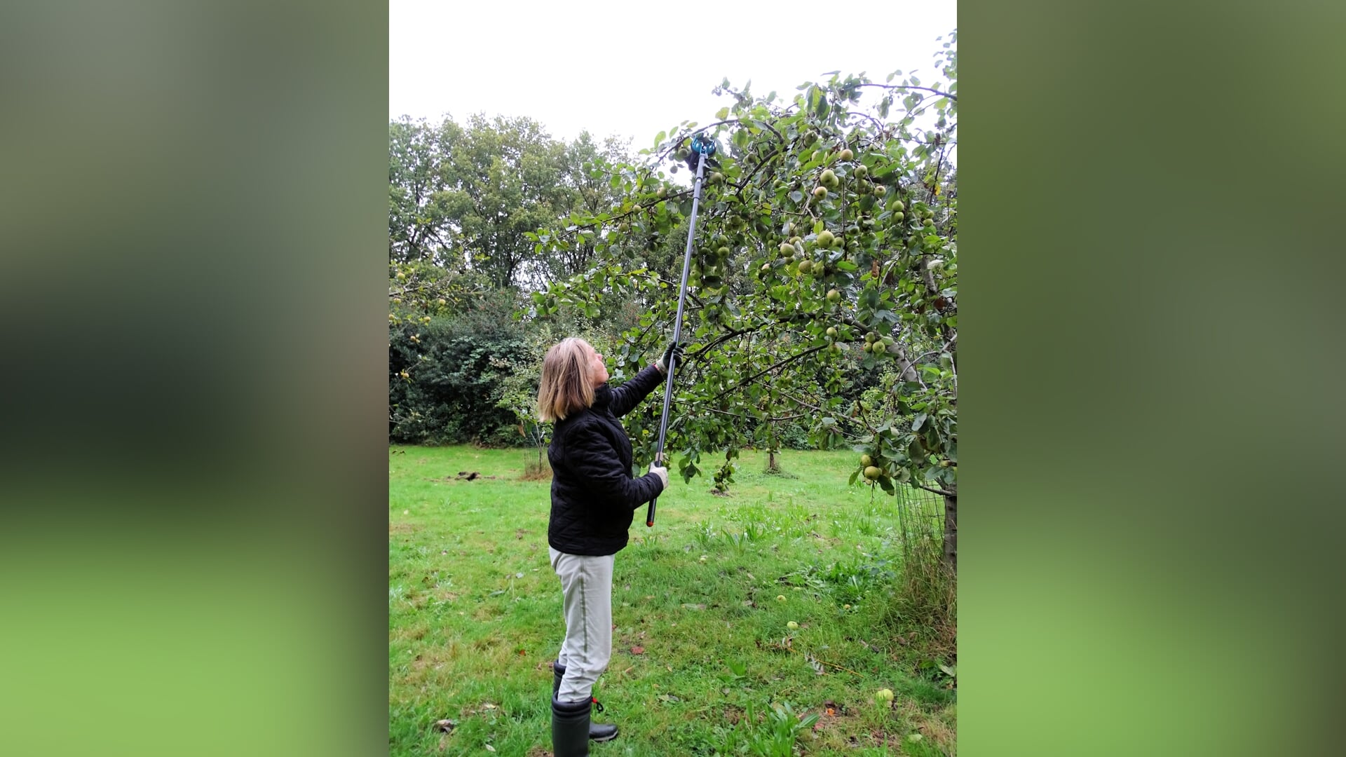 laatste open dag in kwekerij/boomgaard