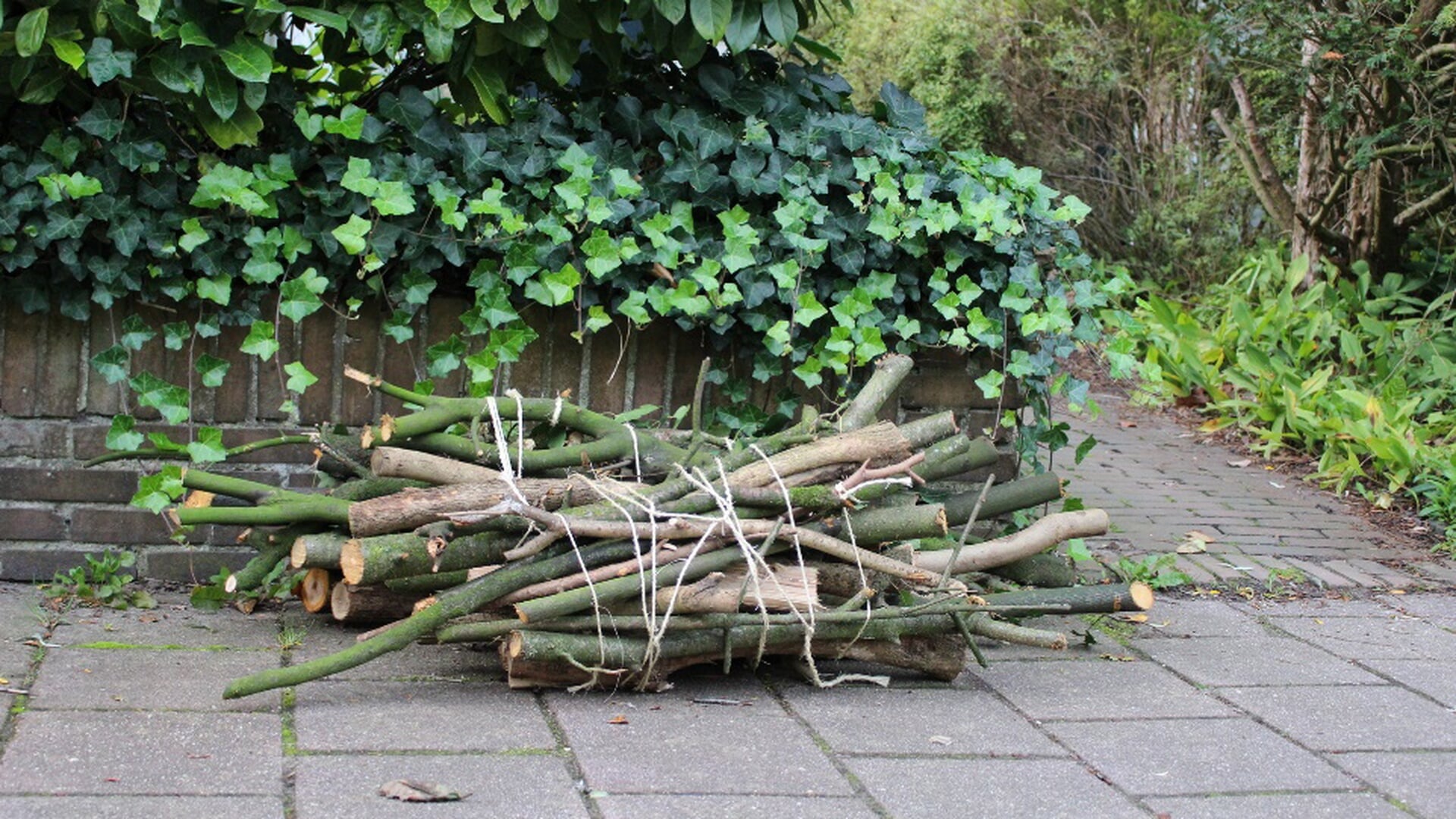 Vierde ophaalronde van snoeihout in Bunnik