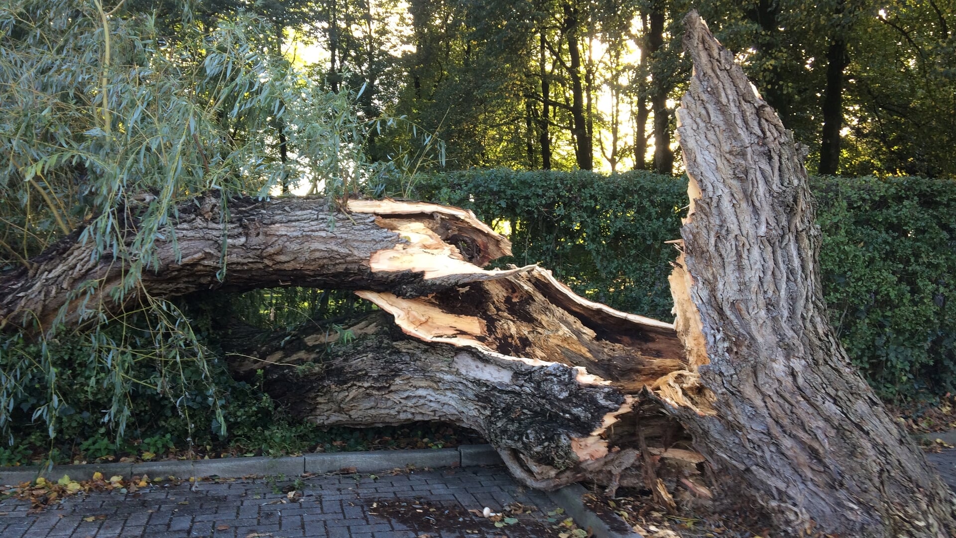 Opnieuw kans op storm dit weekend; zware windstoten aan de kust