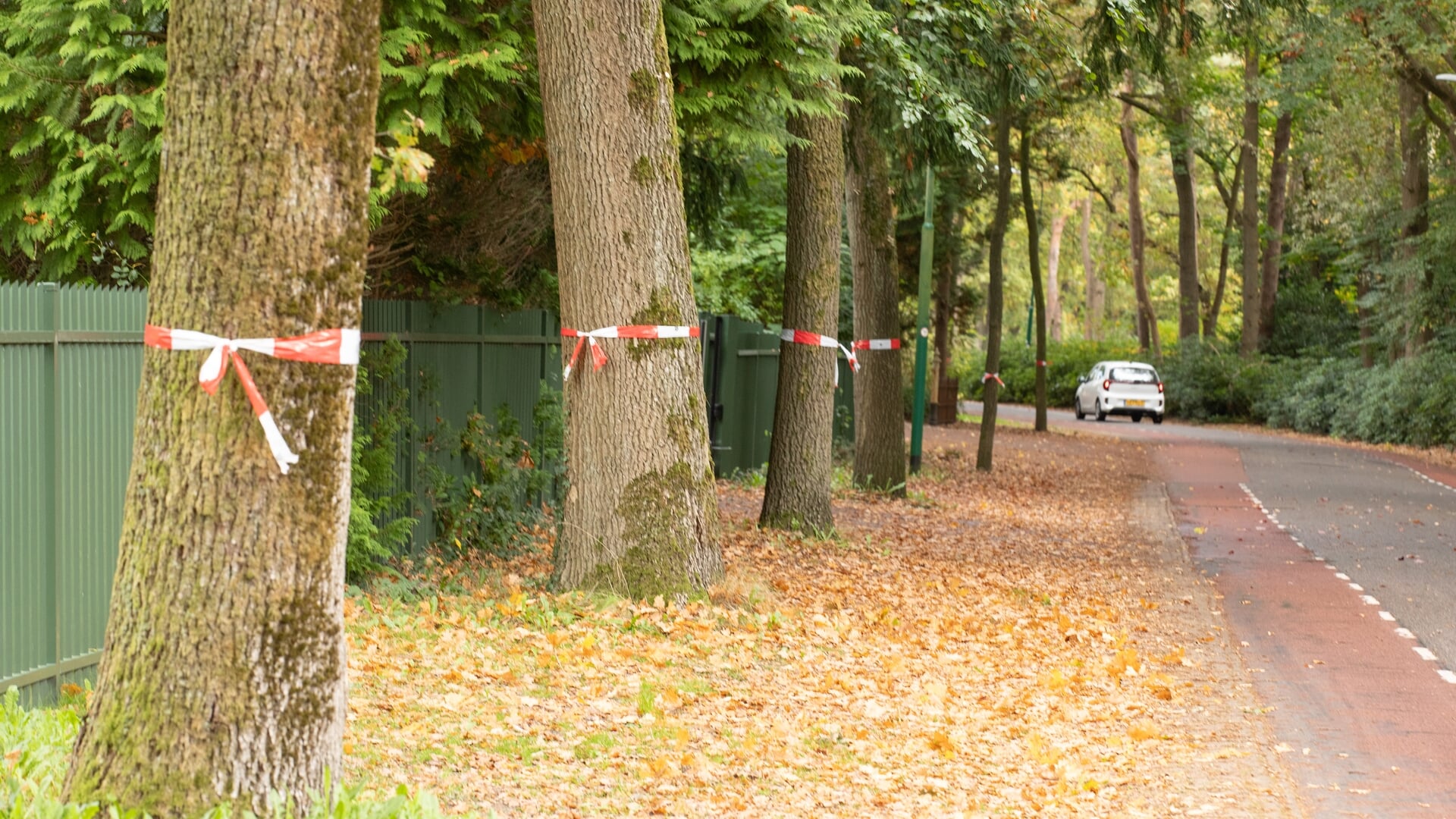 Rood-witte linten betekenen geen bomenkap