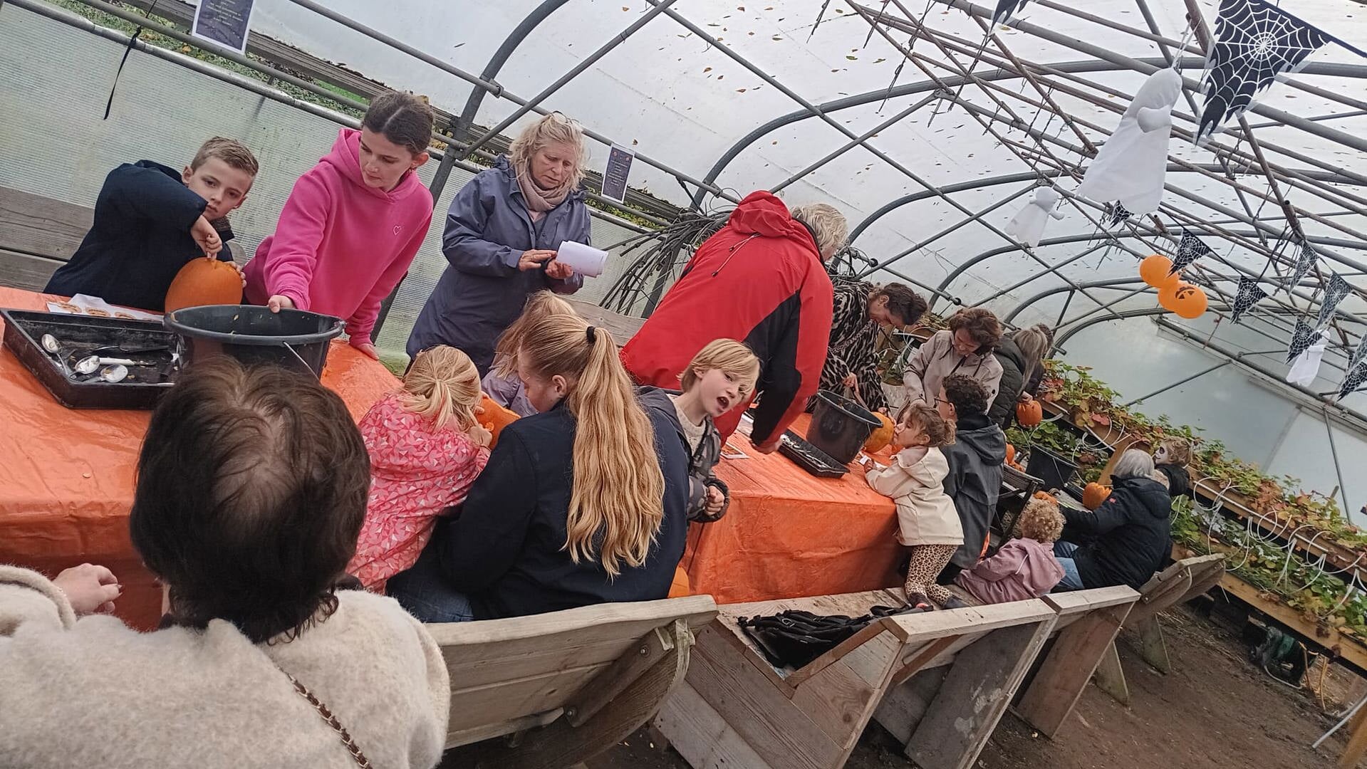 Pompoendag Cothen weer een griezelig groot succes mede door vrijwilligers