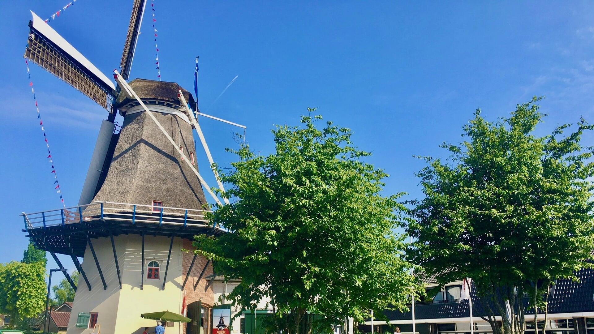 Gelderse Molendagen 2025; ook molen de Koe te bezichtigen