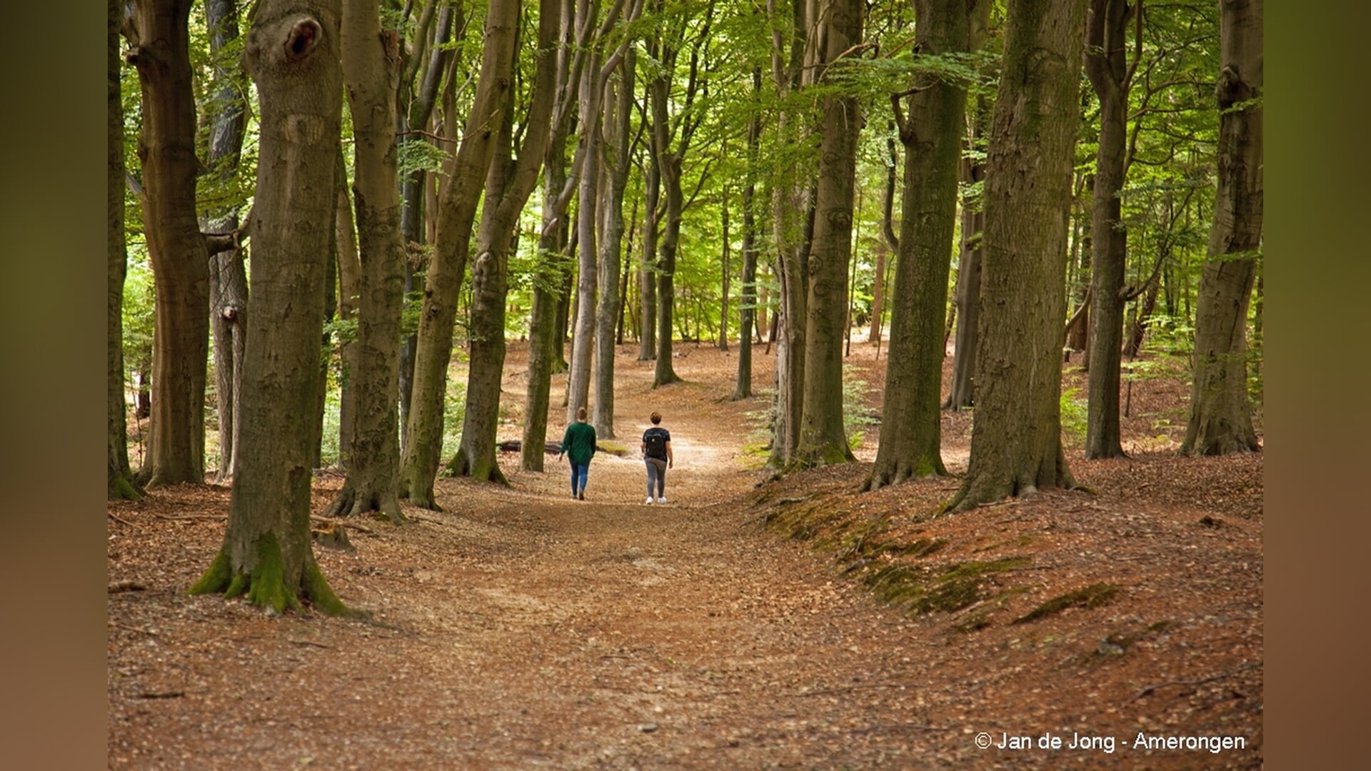 Zaterdag 1 november Amerongse Verwondertocht