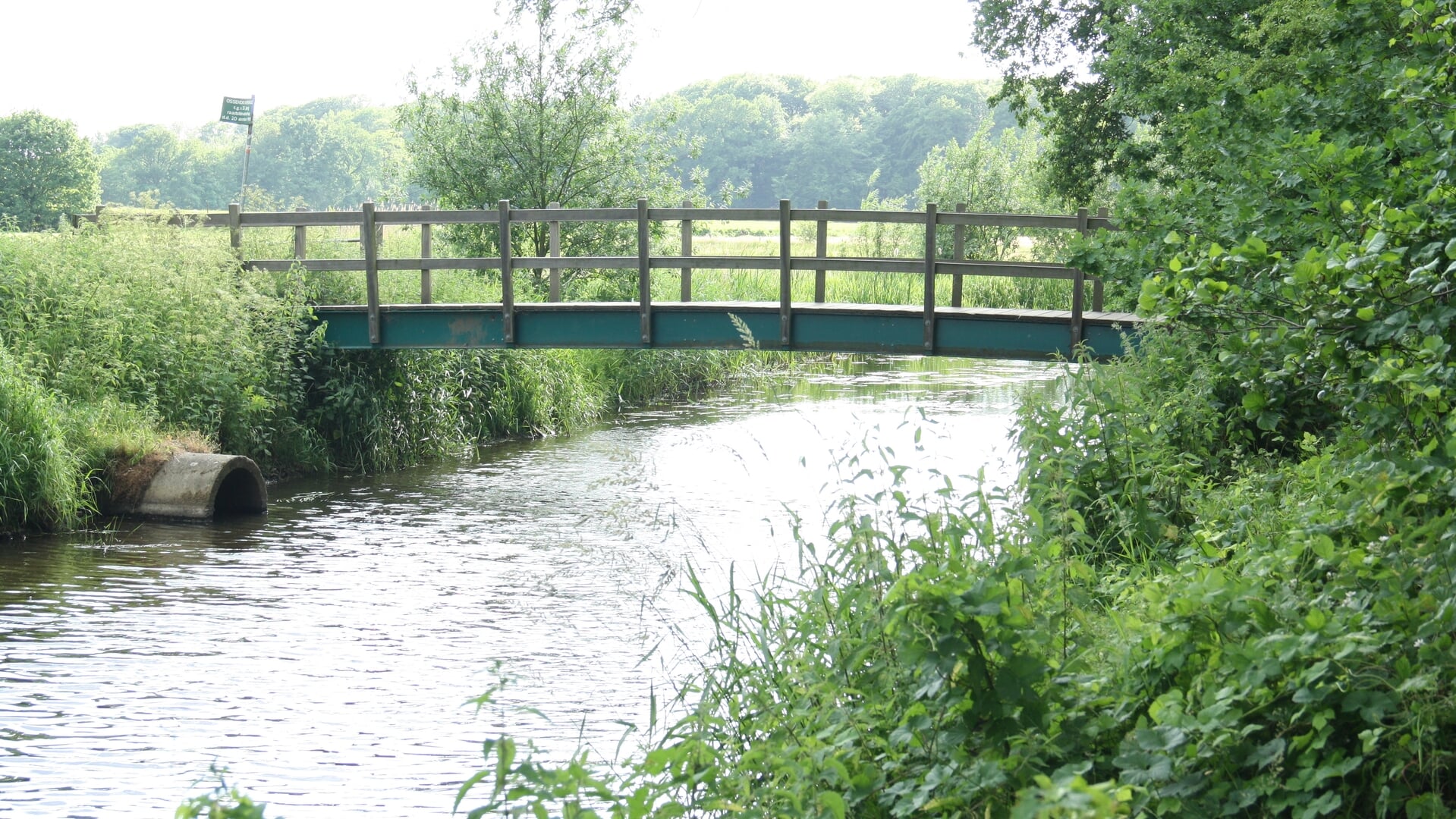 Verlenging van TBS Brian N. die Romy Nieuwburg vermoordde: ‘Nog steeds een kans op recidive’