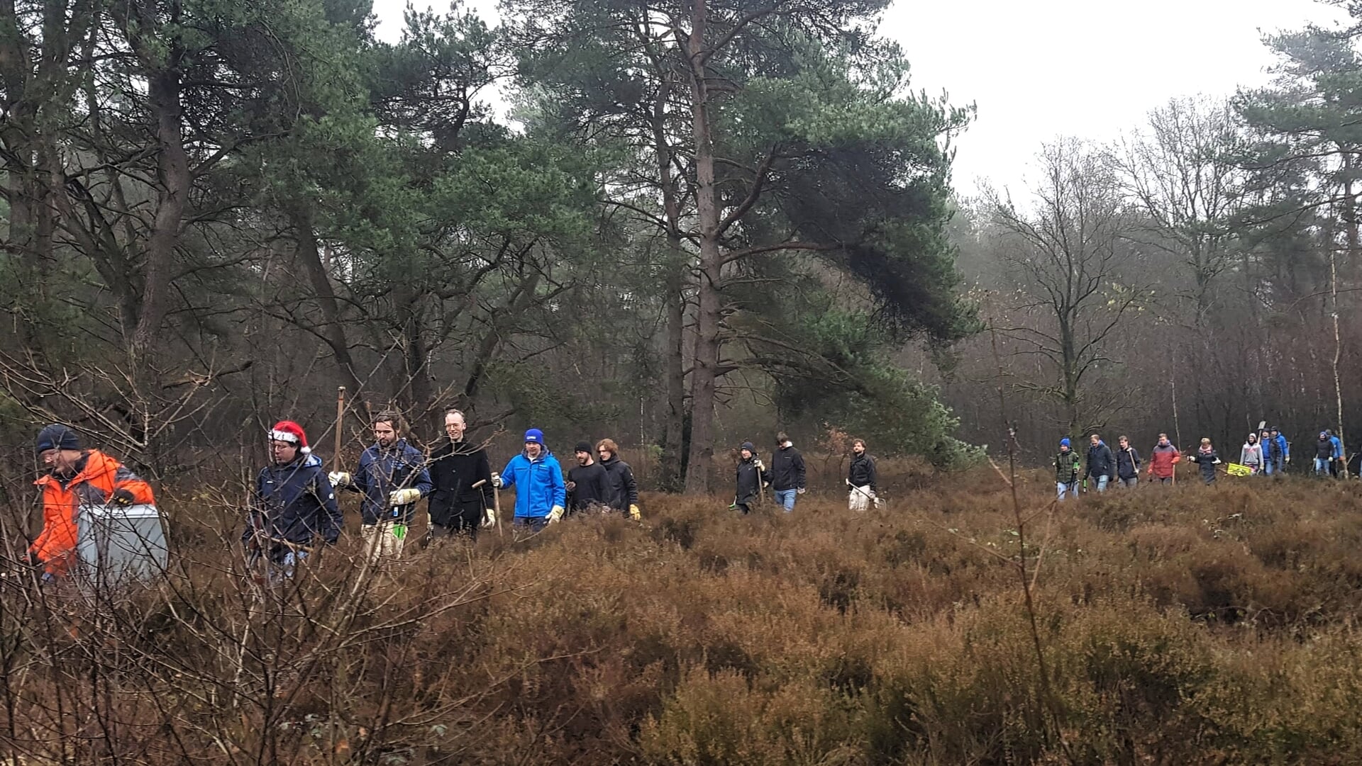 Alle hulp is komend weekend welkom in het Bennekomse Mierenreservaat