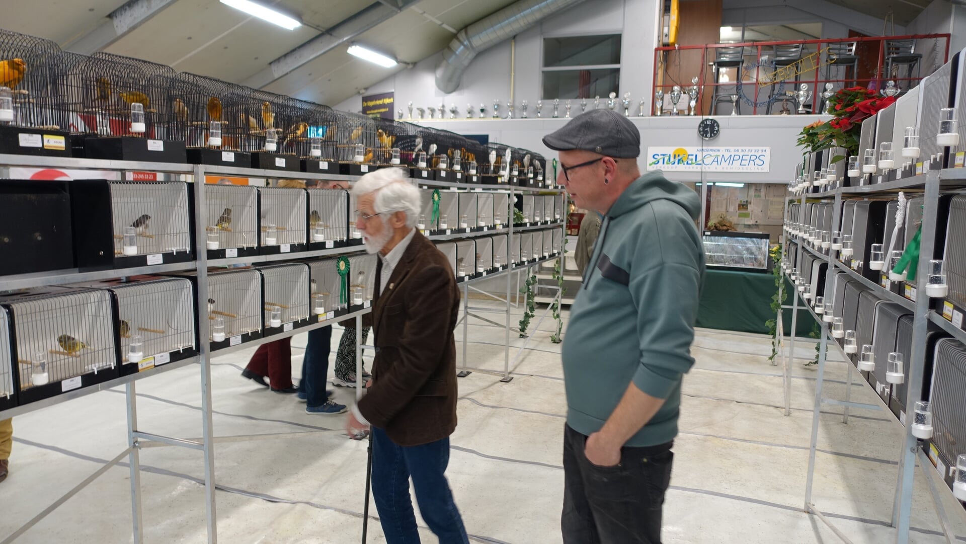 De Vogelvriend Nijkerk viert 75-jarig jubileum met grote regioshow: De liefde voor vogels brengt ied