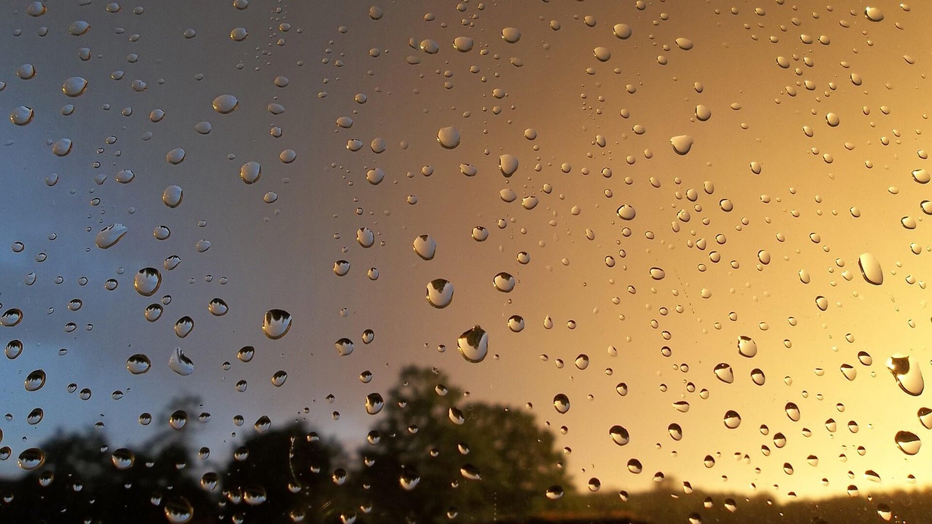 Weerbureau: november begint na en later kouder