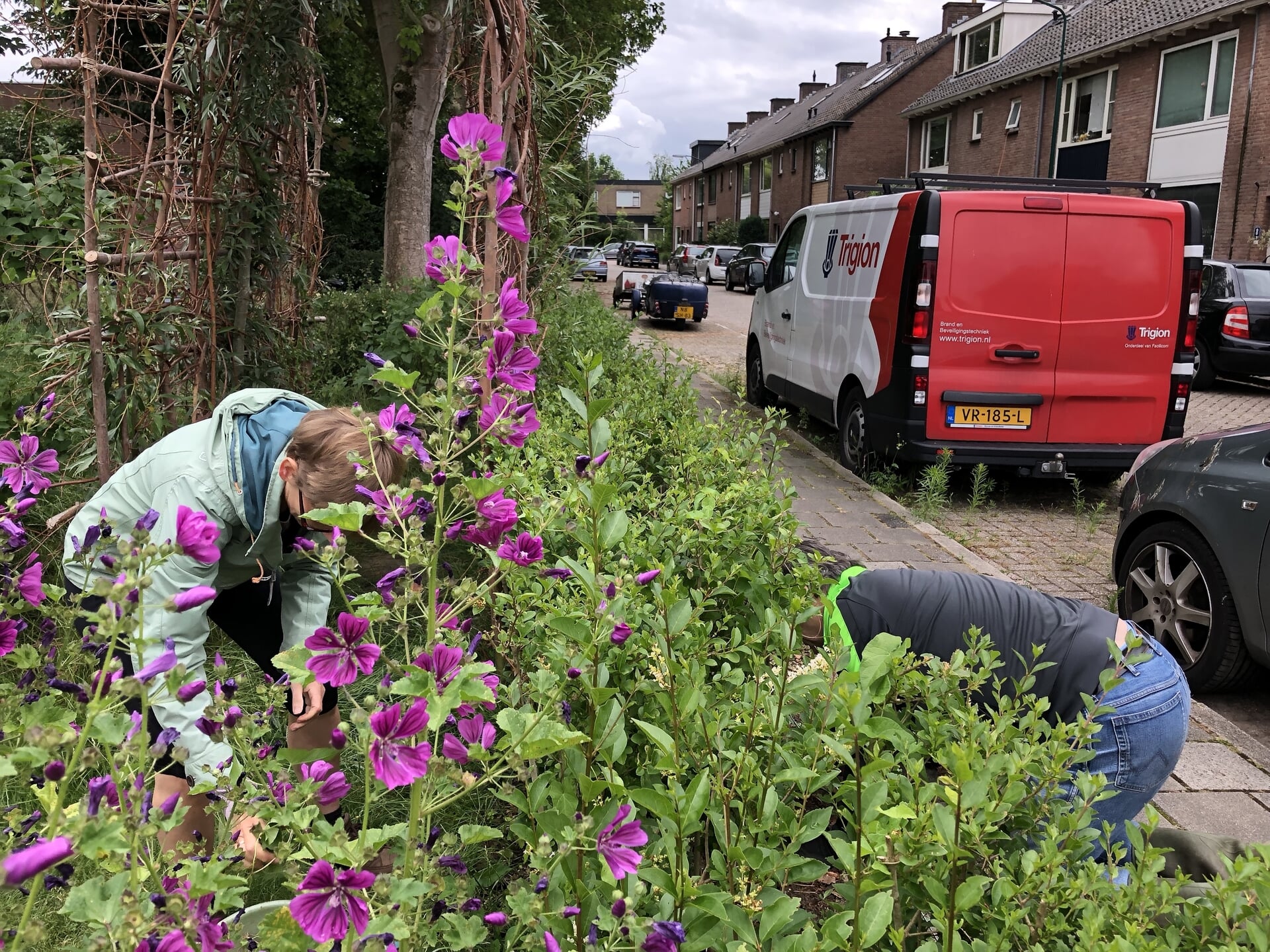 Klusdag bij Ireneplein en Emmatuin
