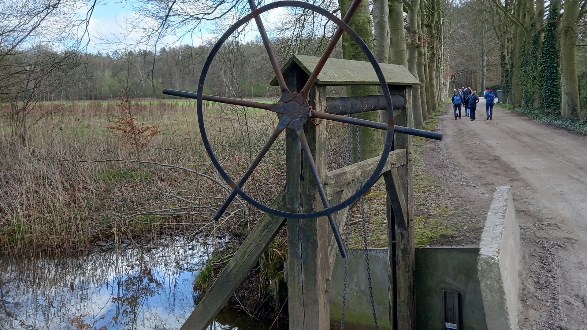 IVN Herfstwandeling Beukenburg en de Leyen op zaterdag 15 november